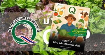 ได้ Q แล้ว3