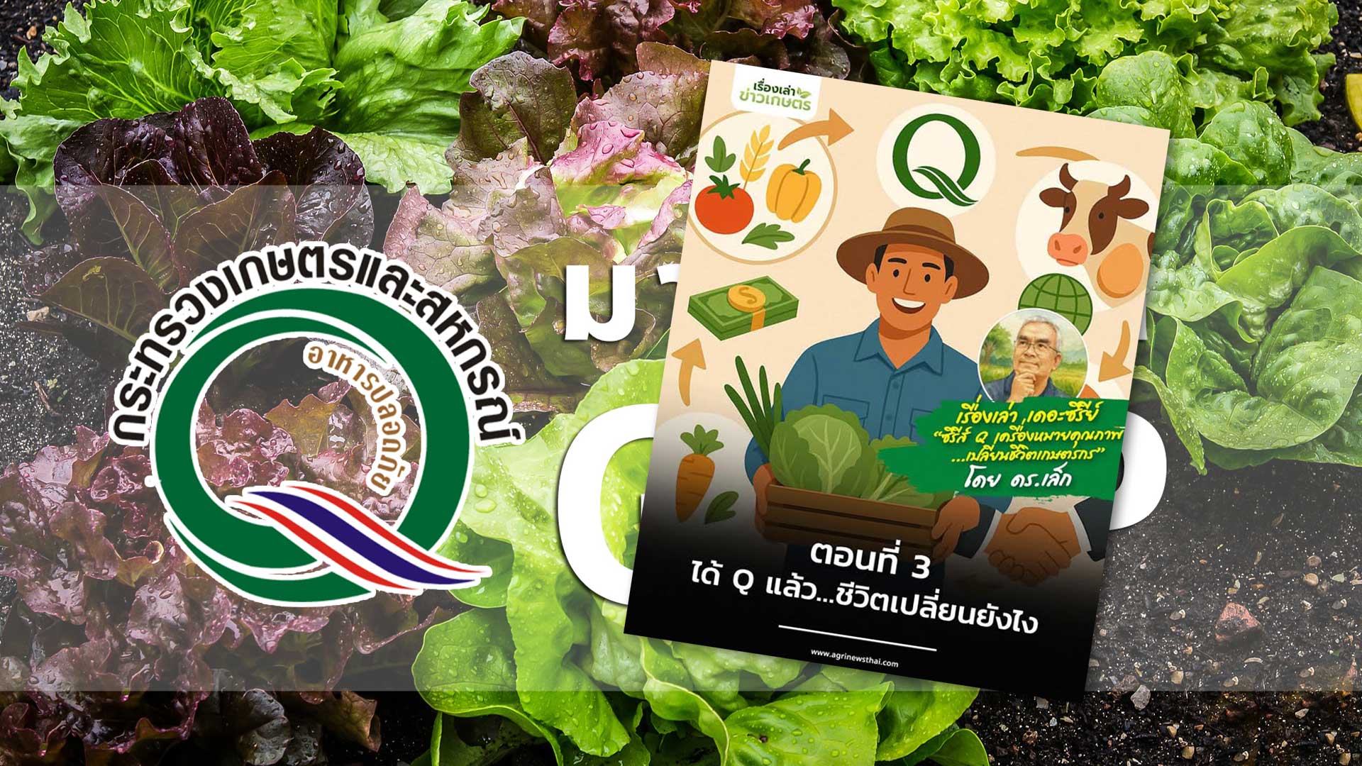 ซีรีย์ Q เครื่องหมายคุณภาพเปลี่ยนชีวิตเกษตรกร ตอนที่ 3 : “ได้ Q แล้ว…ชีวิตเปลี่ยนยังไง” 1 ได้ Q แล้ว3