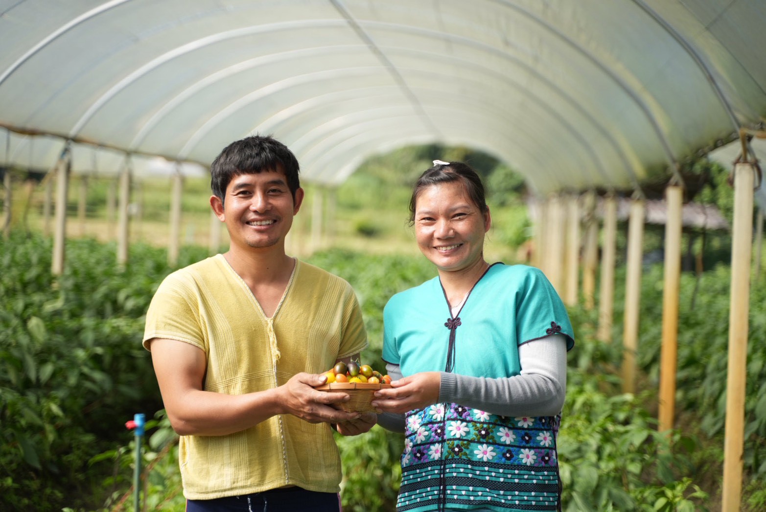 ซินเจนทา ชูความสำเร็จ “เพาะดี กินดี” ดันเกษตรกรไทยสู่มาตรฐาน GAP พร้อมก้าวสู่ตลาดสากล 7 1011386