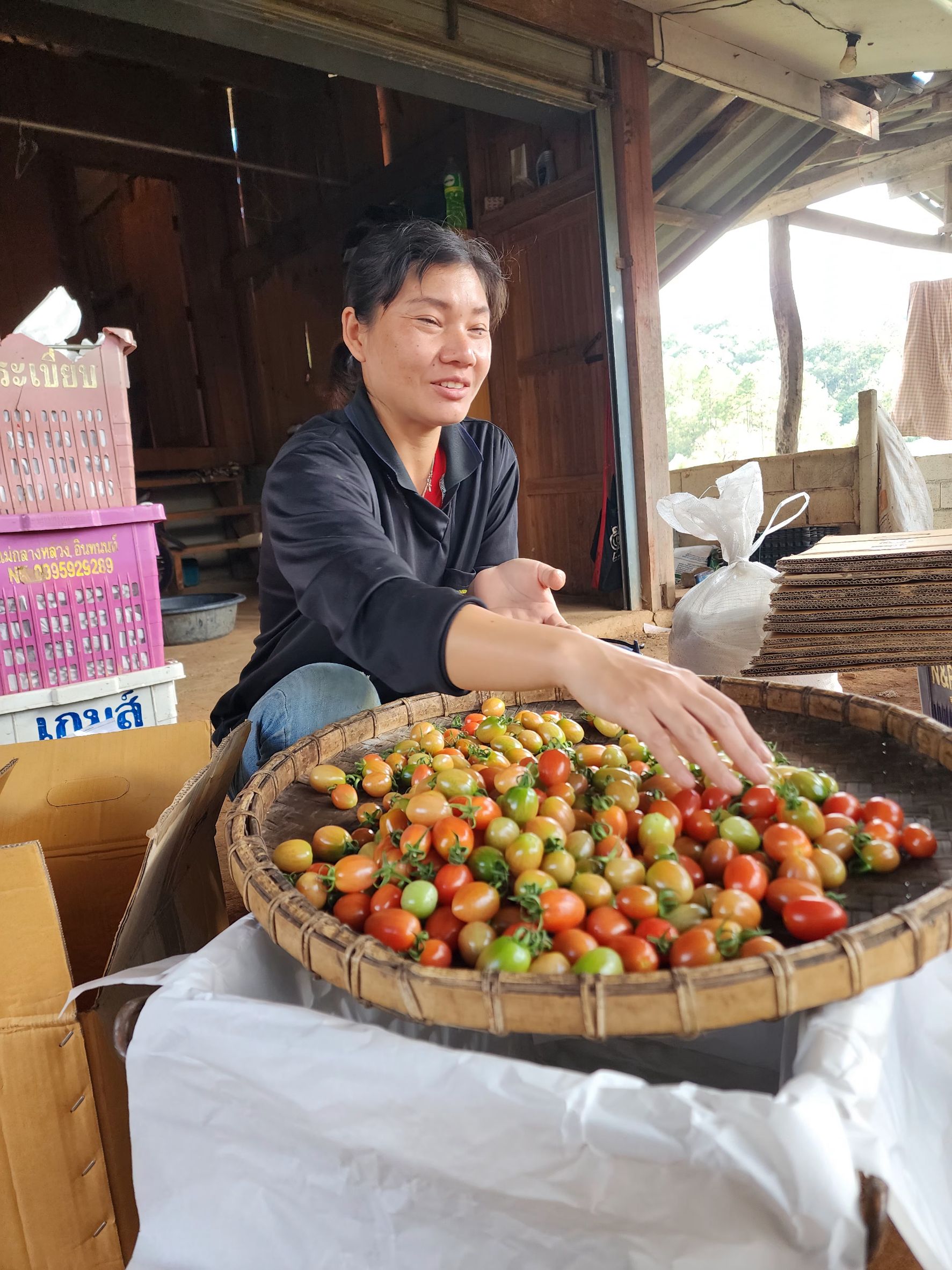 ซินเจนทา ชูความสำเร็จ “เพาะดี กินดี” ดันเกษตรกรไทยสู่มาตรฐาน GAP พร้อมก้าวสู่ตลาดสากล 9 1011391