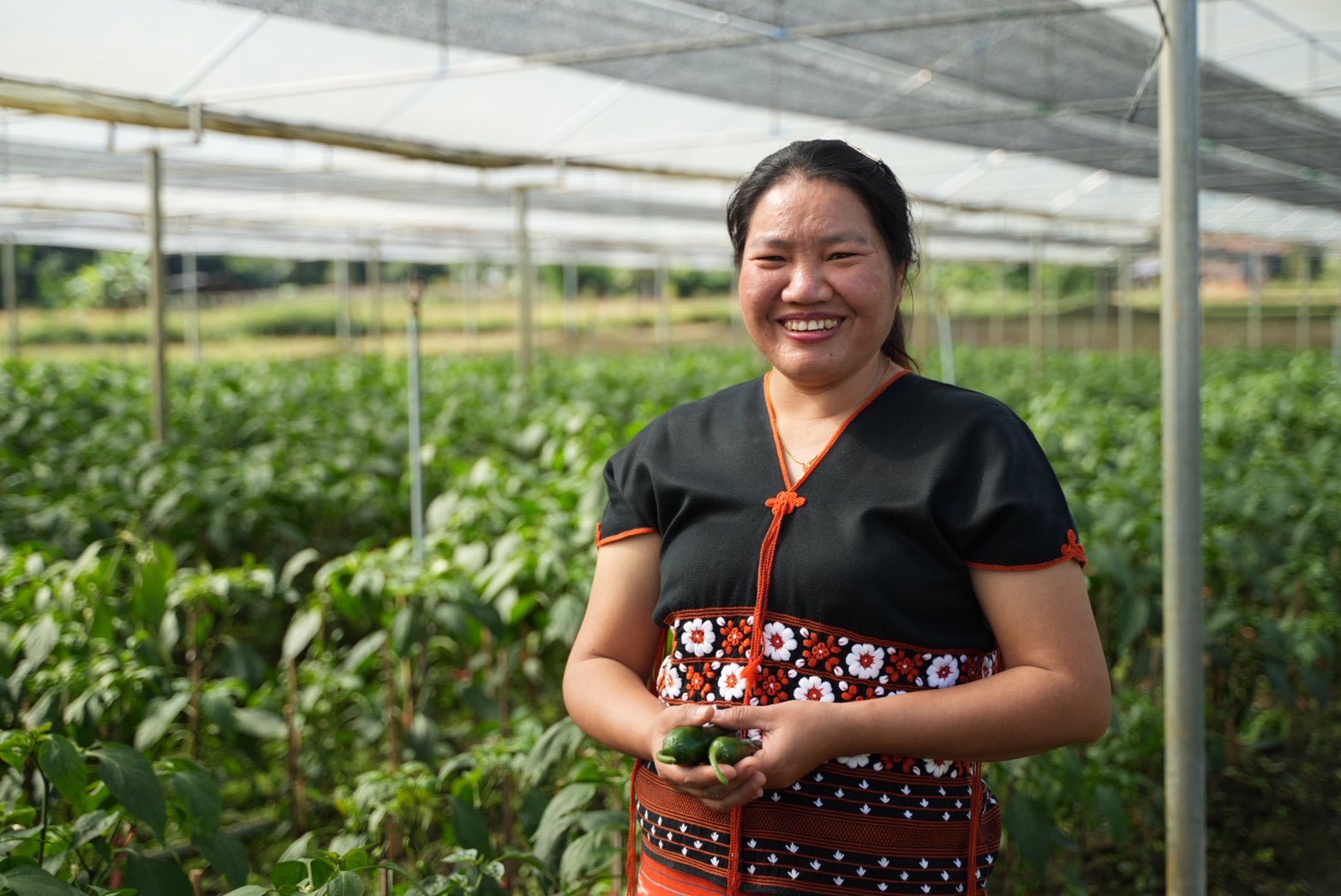 ซินเจนทา ชูความสำเร็จ “เพาะดี กินดี” ดันเกษตรกรไทยสู่มาตรฐาน GAP พร้อมก้าวสู่ตลาดสากล 8 1011392 1