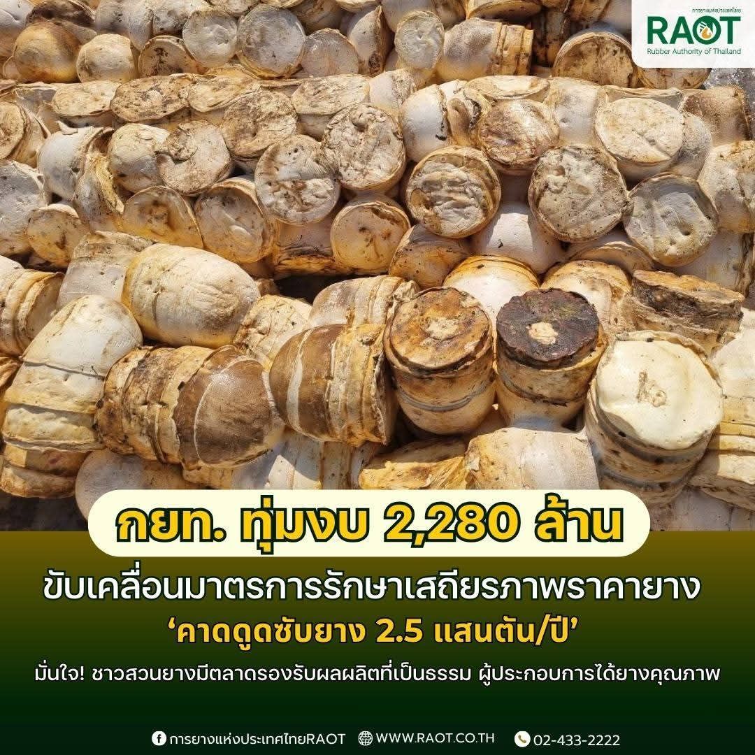 กยท. ทุ่มงบ 2,280 ล้าน ขับเคลื่อนมาตรการรักษาเสถียรภาพราคายาง คาดดูดซับยาง 2.5 แสนตัน/ปี มั่นใจ ชาวสวนยางมีตลาดรองรับผลผลิตที่เป็นธรรม-ผู้ประกอบการได้ยางคุณภาพ 8 1151996