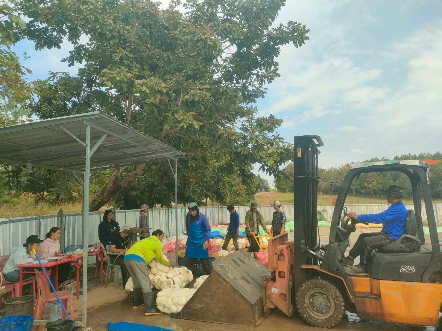 กยท. ทุ่มงบ 2,280 ล้าน ขับเคลื่อนมาตรการรักษาเสถียรภาพราคายาง คาดดูดซับยาง 2.5 แสนตัน/ปี มั่นใจ ชาวสวนยางมีตลาดรองรับผลผลิตที่เป็นธรรม-ผู้ประกอบการได้ยางคุณภาพ 4 1151999