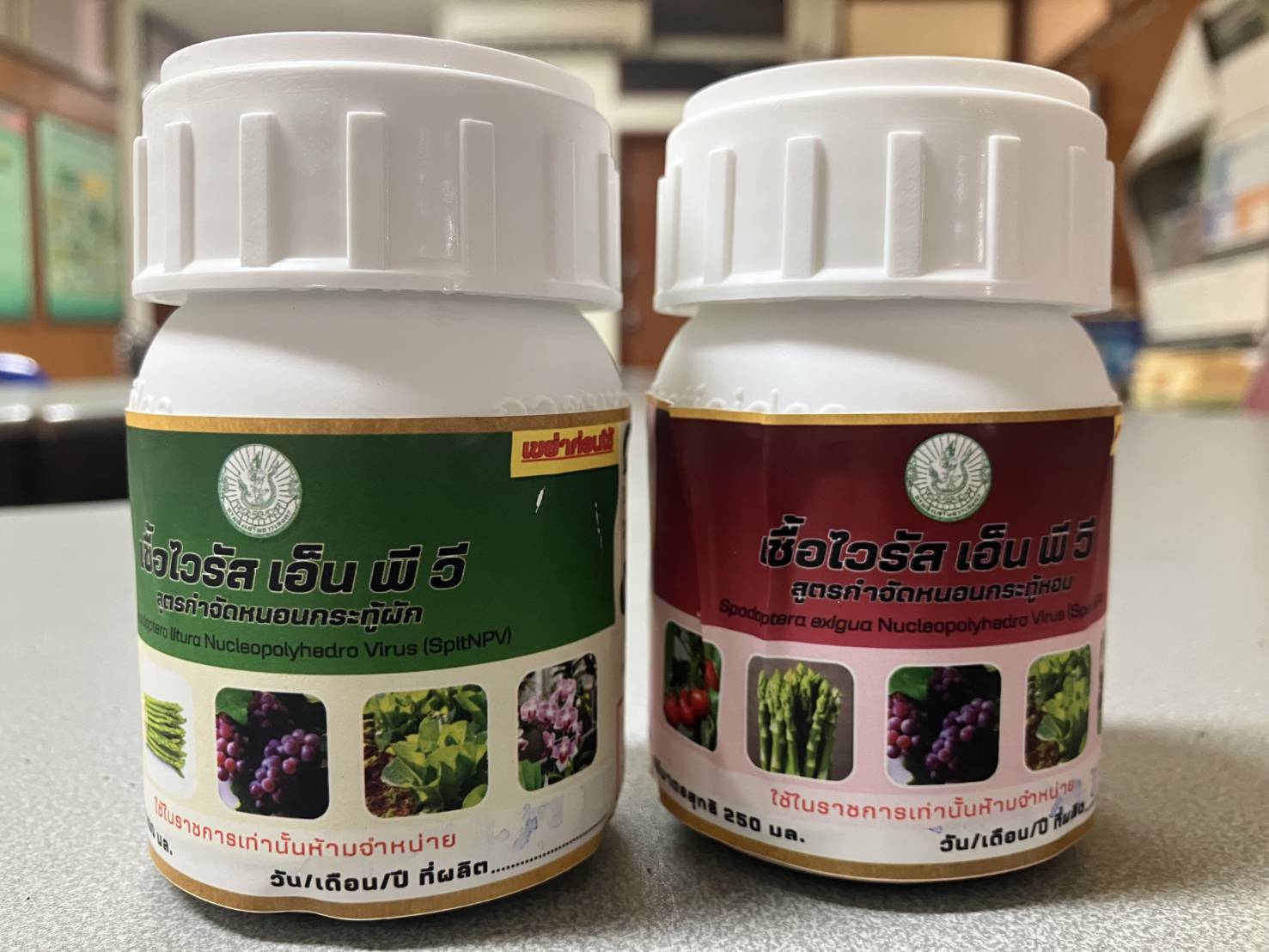 กรมส่งเสริมการเกษตร แนะวิธีใช้ชีวภัณฑ์ฟื้นฟูพื้นที่เกษตรอย่างเหมาะสม 10 122472 0