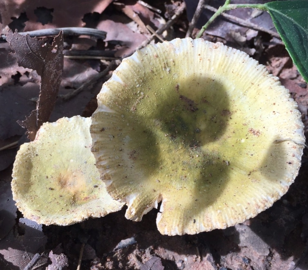 131630369 190907226074577 2595975701024112243 n