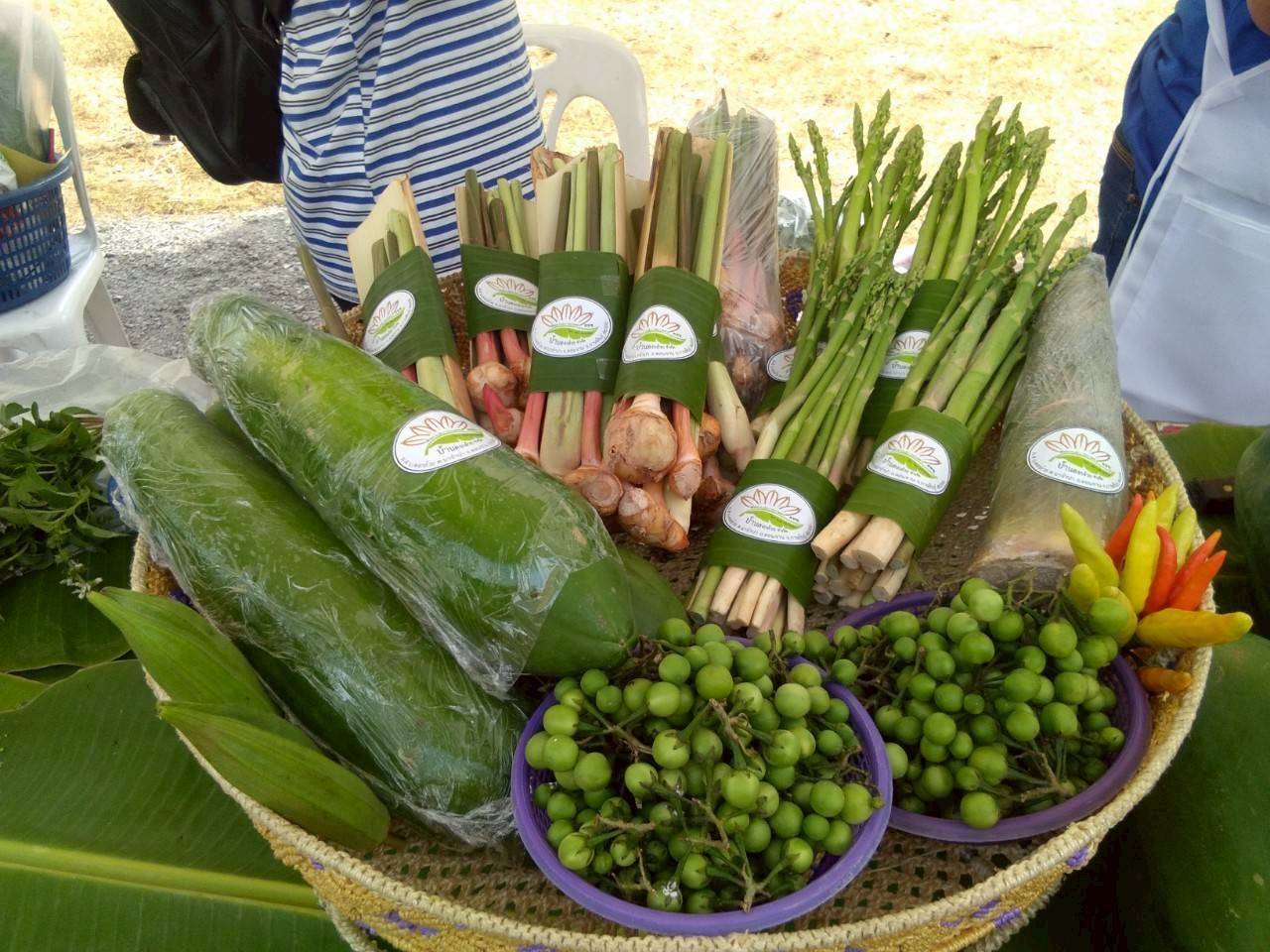 สหกรณ์การเกษตรบ้านดงกล้วย จ.กาฬสินธุ์ ส่งเสริมเลี้ยงจิ้งหรีดส่งออก ปลูกพืชสมุนไพร ปลูกหม่อนเลี้ยงไหมต้นแบบความสำเร็จสหกรณ์ในพื้นที่ คทช. “ดงกล้วยโมเดล” 5 1970822