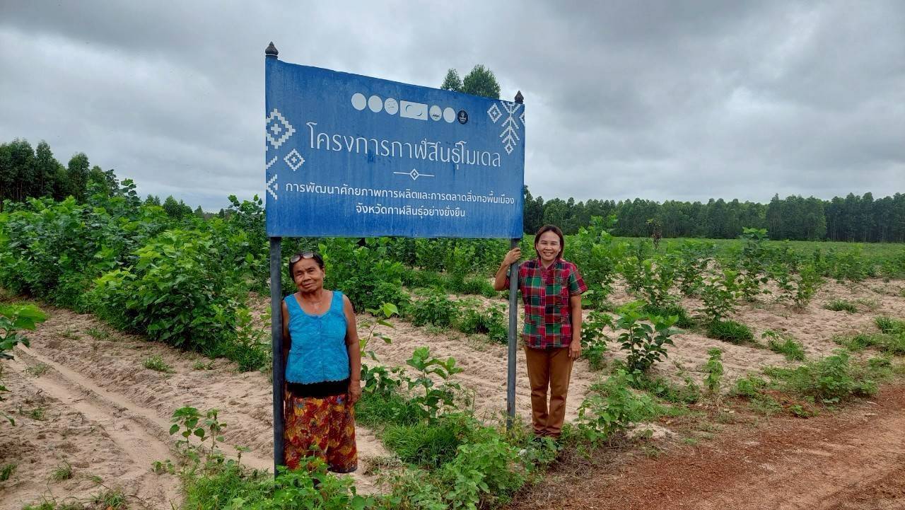 สหกรณ์การเกษตรบ้านดงกล้วย จ.กาฬสินธุ์ ส่งเสริมเลี้ยงจิ้งหรีดส่งออก ปลูกพืชสมุนไพร ปลูกหม่อนเลี้ยงไหมต้นแบบความสำเร็จสหกรณ์ในพื้นที่ คทช. “ดงกล้วยโมเดล” 8 1970825