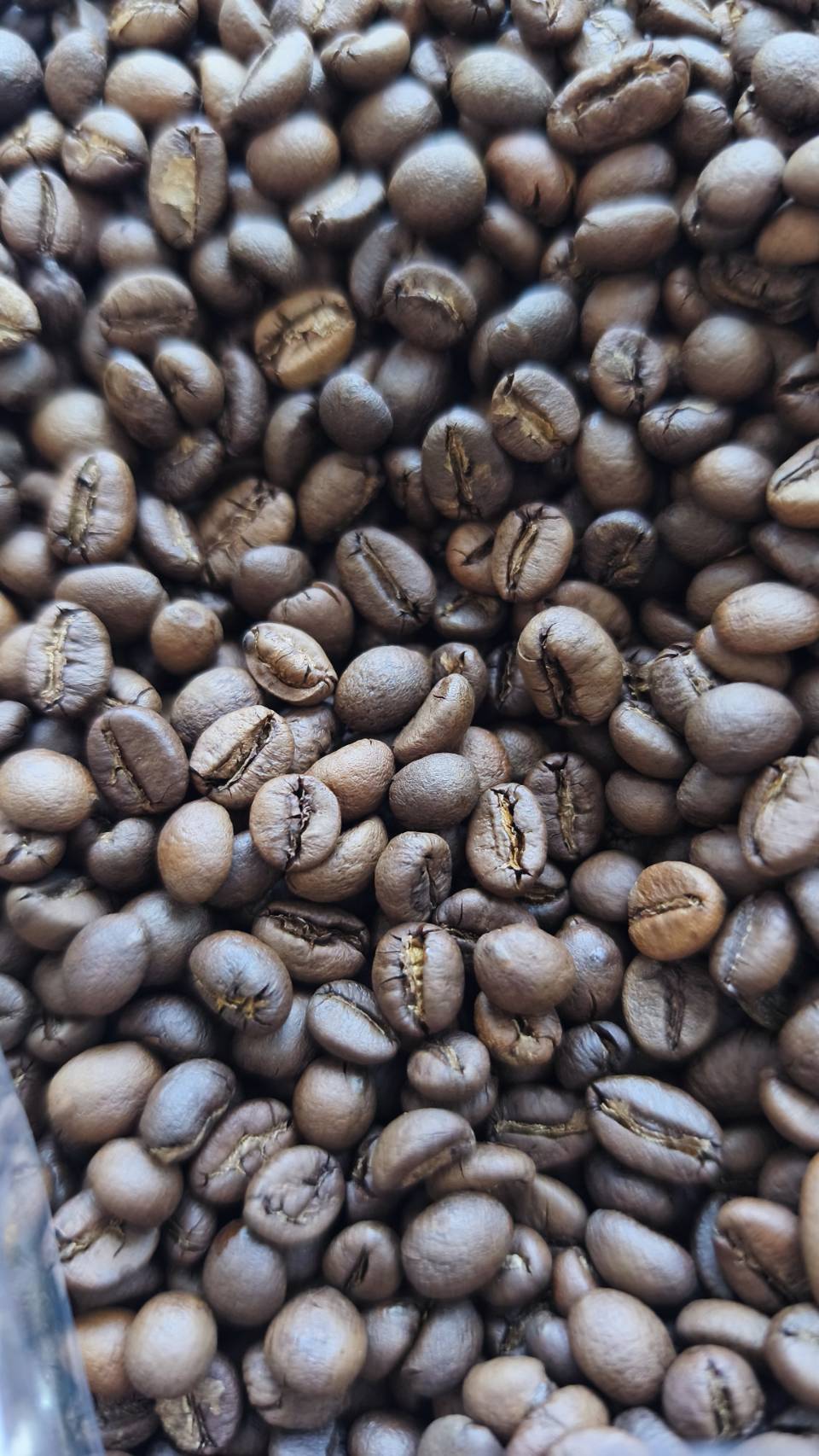 สศก. คาดดีมานด์กาแฟโลก 10.16 ล้านตัน ผลผลิตไทย 16,534 ตัน เกษตรฯ ขับเคลื่อนยกระดับ 1.2 หมื่นครัวเรือน รับมาตรฐาน EUDR 4 26361 1