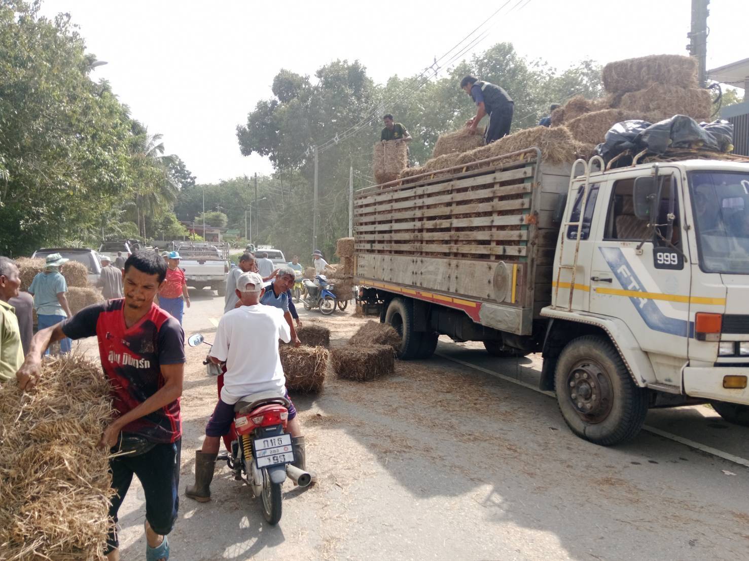 กรมปศุสัตว์ เดินหน้าช่วยเหลือเกษตรกรผู้เลี้ยงสัตว์ภาคใต้ต่อเนื่องภายหลังน้ำลด เร่งจัดการซากสัตว์ตามหลักสุขาภิบาล ป้องกันโรคระบาด 7 298507