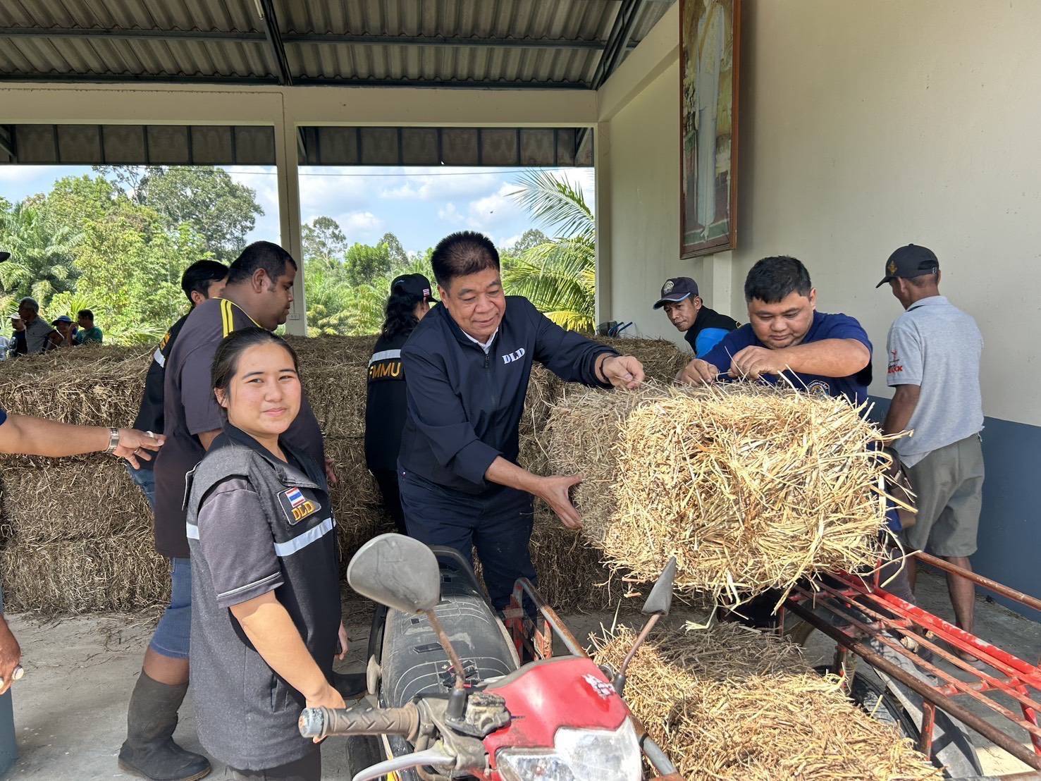 กรมปศุสัตว์ เดินหน้าช่วยเหลือเกษตรกรผู้เลี้ยงสัตว์ภาคใต้ต่อเนื่องภายหลังน้ำลด เร่งจัดการซากสัตว์ตามหลักสุขาภิบาล ป้องกันโรคระบาด 6 298510