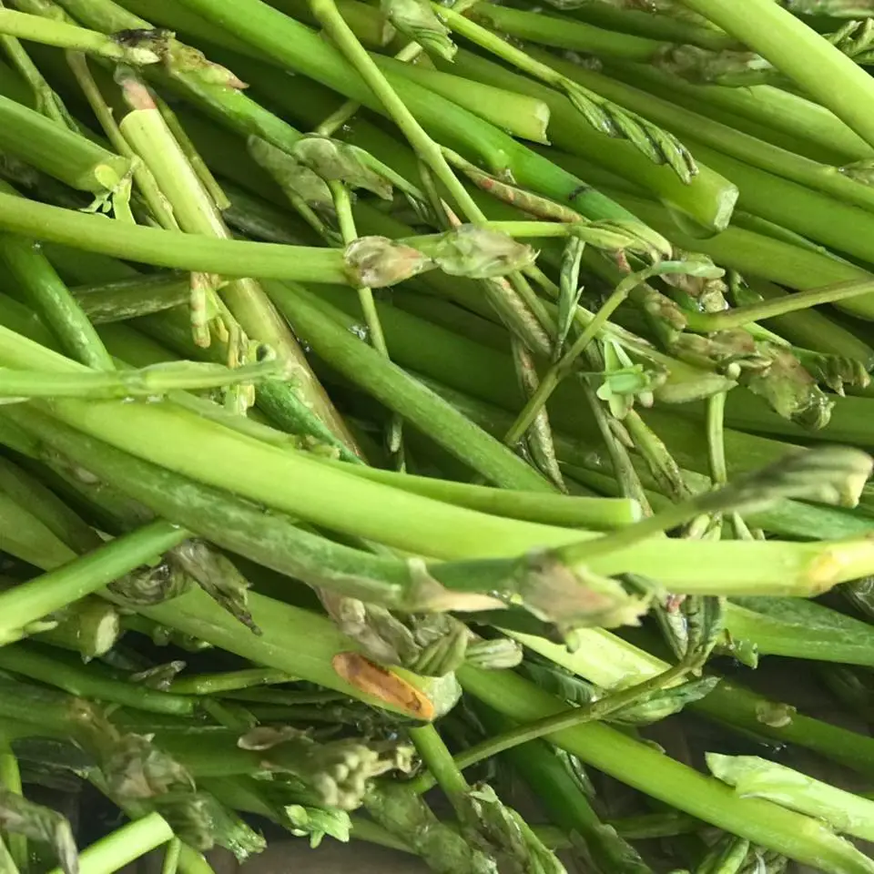 309147575 406086198349432 5836331709265542751 n