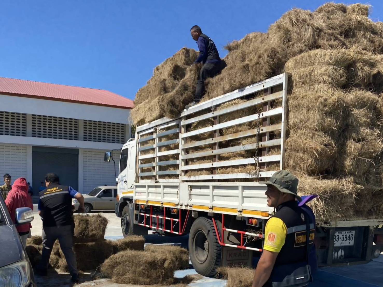 กรมปศุสัตว์ย้ำเกณฑ์เยียวยาความเสียหาย 7 จังหวัดชายแดนไทย–กัมพูชา ล่าสุดเกษตรกรได้รับผลกระทบกว่า 2 แสนราย มีสัตว์ในพื้นที่รวม 6.5 ล้านตัว ส่งความช่วยเหลืออย่างต่อเนื่อง 5 332308