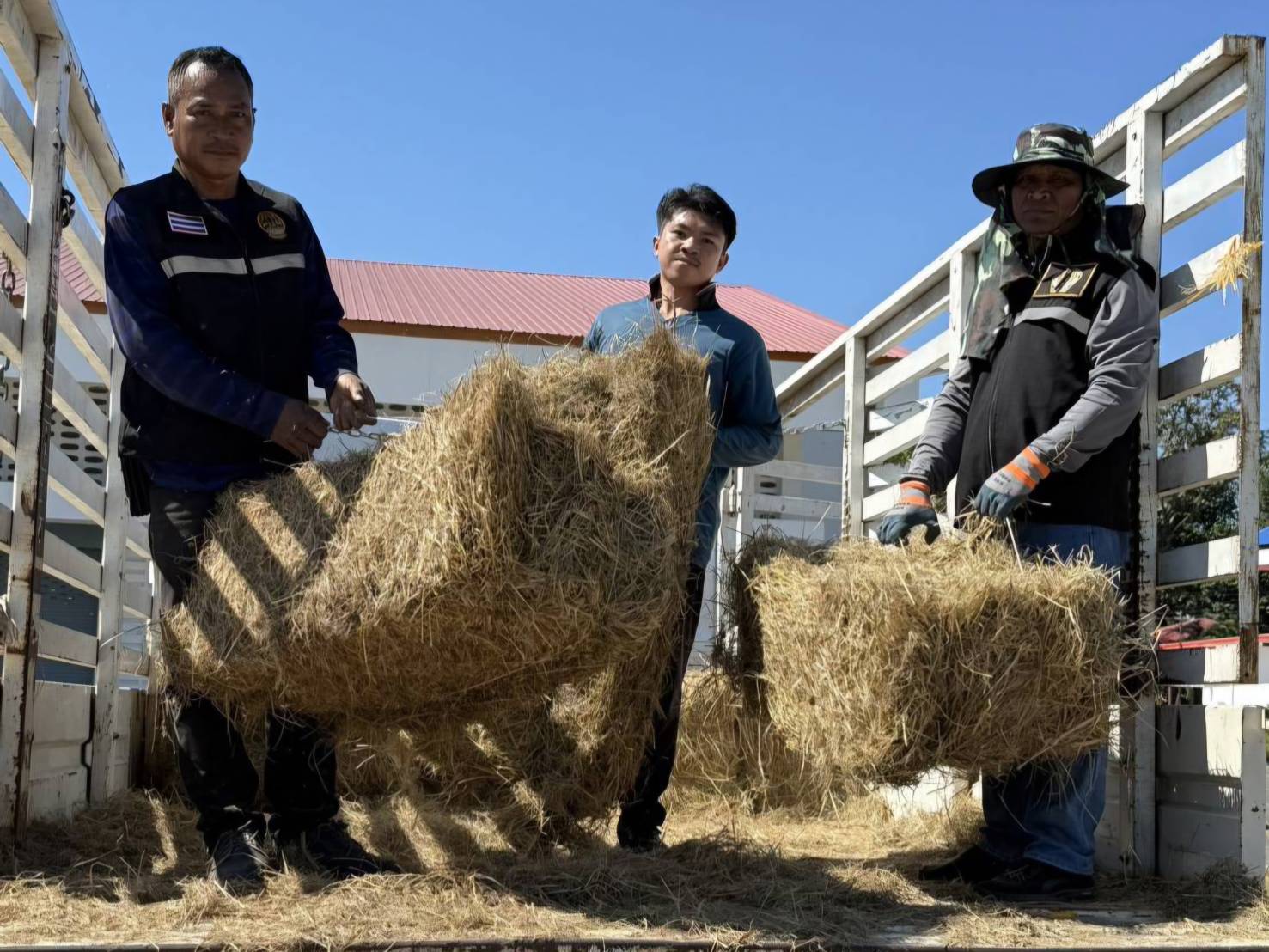 กรมปศุสัตว์ย้ำเกณฑ์เยียวยาความเสียหาย 7 จังหวัดชายแดนไทย–กัมพูชา ล่าสุดเกษตรกรได้รับผลกระทบกว่า 2 แสนราย มีสัตว์ในพื้นที่รวม 6.5 ล้านตัว ส่งความช่วยเหลืออย่างต่อเนื่อง 6 332312