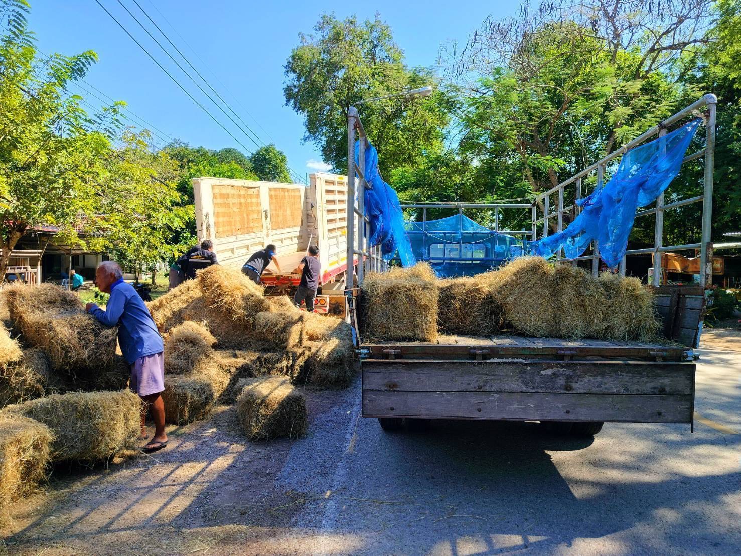 กรมปศุสัตว์ย้ำเกณฑ์เยียวยาความเสียหาย 7 จังหวัดชายแดนไทย–กัมพูชา ล่าสุดเกษตรกรได้รับผลกระทบกว่า 2 แสนราย มีสัตว์ในพื้นที่รวม 6.5 ล้านตัว ส่งความช่วยเหลืออย่างต่อเนื่อง 7 332313
