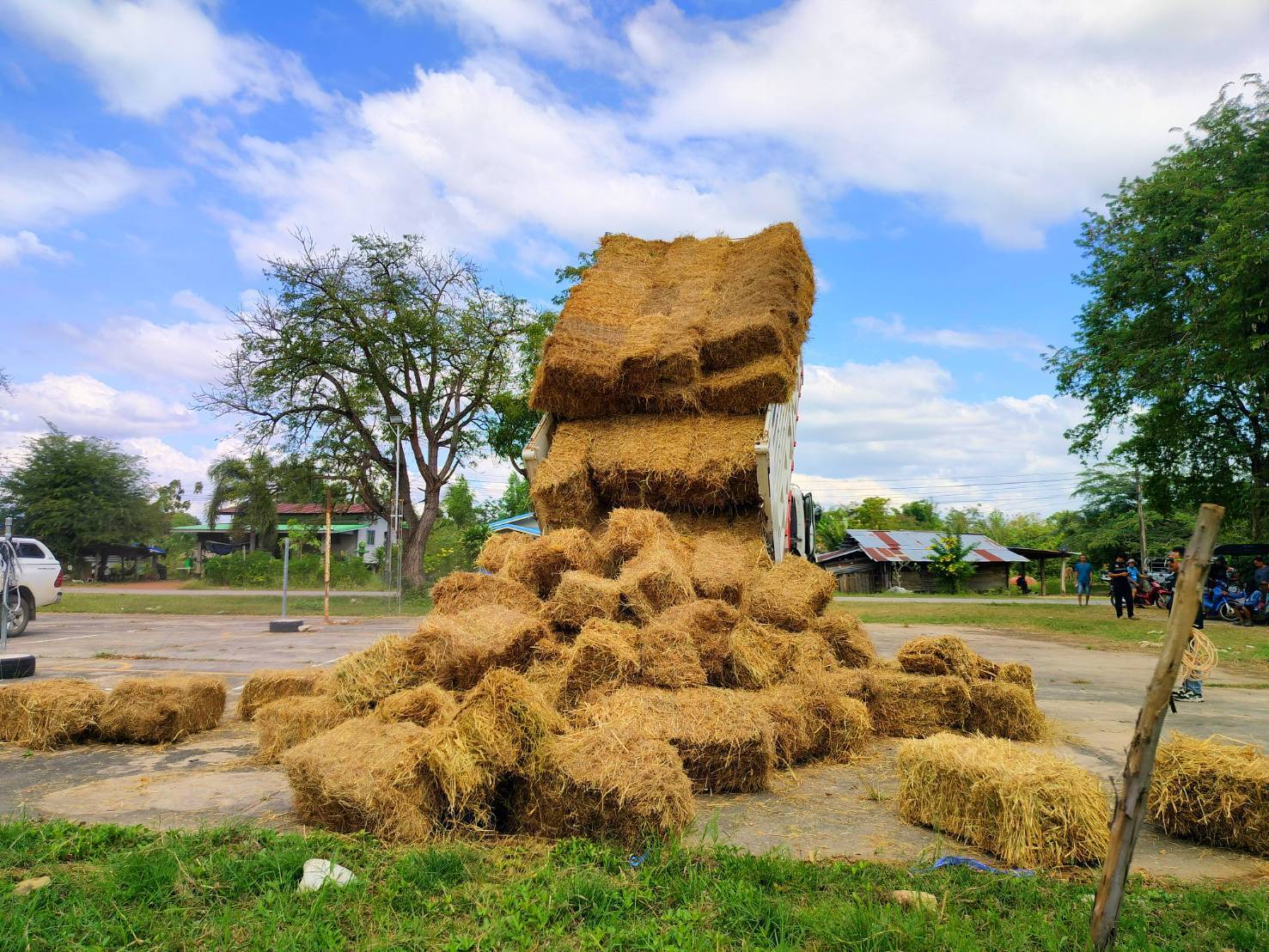 กรมปศุสัตว์ย้ำเกณฑ์เยียวยาความเสียหาย 7 จังหวัดชายแดนไทย–กัมพูชา ล่าสุดเกษตรกรได้รับผลกระทบกว่า 2 แสนราย มีสัตว์ในพื้นที่รวม 6.5 ล้านตัว ส่งความช่วยเหลืออย่างต่อเนื่อง 9 332322