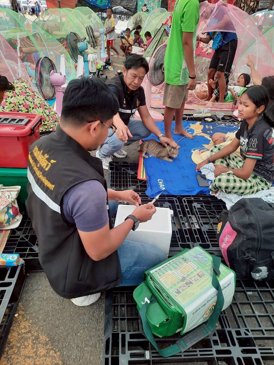 กรมปศุสัตว์ย้ำเกณฑ์เยียวยาความเสียหาย 7 จังหวัดชายแดนไทย–กัมพูชา ล่าสุดเกษตรกรได้รับผลกระทบกว่า 2 แสนราย มีสัตว์ในพื้นที่รวม 6.5 ล้านตัว ส่งความช่วยเหลืออย่างต่อเนื่อง 12 332374