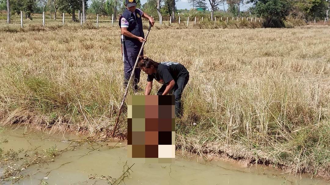 กรมปศุสัตว์ย้ำเกณฑ์เยียวยาความเสียหาย 7 จังหวัดชายแดนไทย–กัมพูชา ล่าสุดเกษตรกรได้รับผลกระทบกว่า 2 แสนราย มีสัตว์ในพื้นที่รวม 6.5 ล้านตัว ส่งความช่วยเหลืออย่างต่อเนื่อง 24 332420