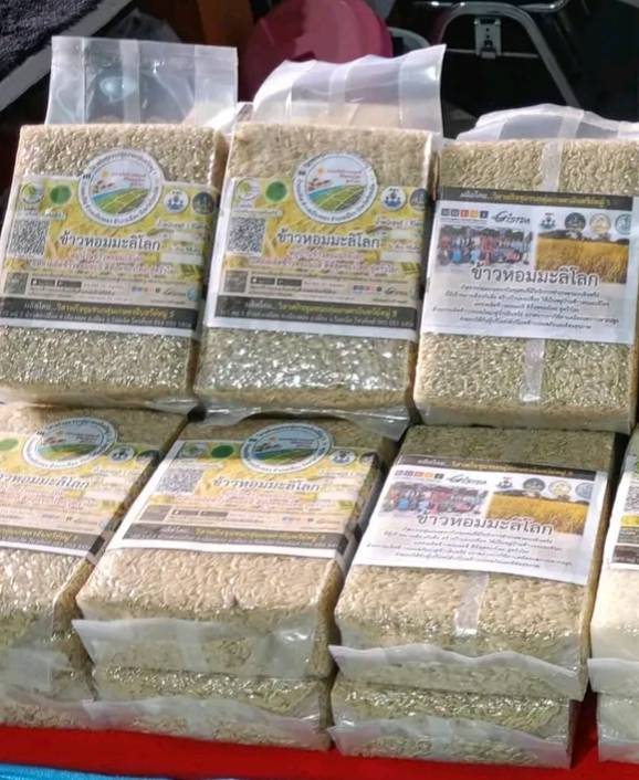 สศท.4 ชู ศกอ. ร้อยเอ็ด ปั้น ‘ข้าวเขียวหยก’ หอมมะลิ 105 สู่สินค้ามูลค่าเพิ่ม ชวนอุดหนุนข้าวหอมมะลิไทยงาน ‘เทศกาลข้าวหอมมะลิโลก ครั้งที่ 25’ จ.ร้อยเอ็ด 10 – 14 ธ.ค. นี้ 9 365291 0 0