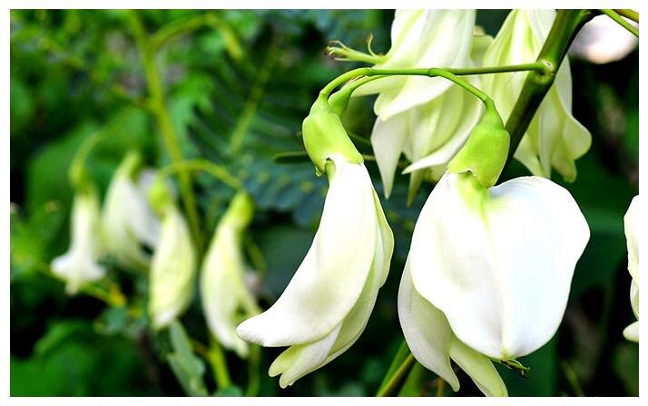 40008546 318447132239093 6702784025800474624 n