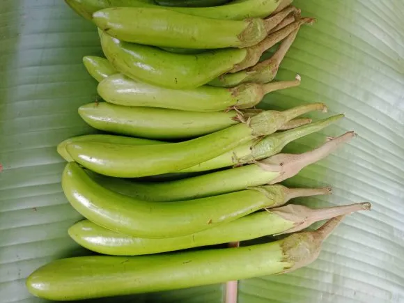 429974 e1594397966783.jpg วววว