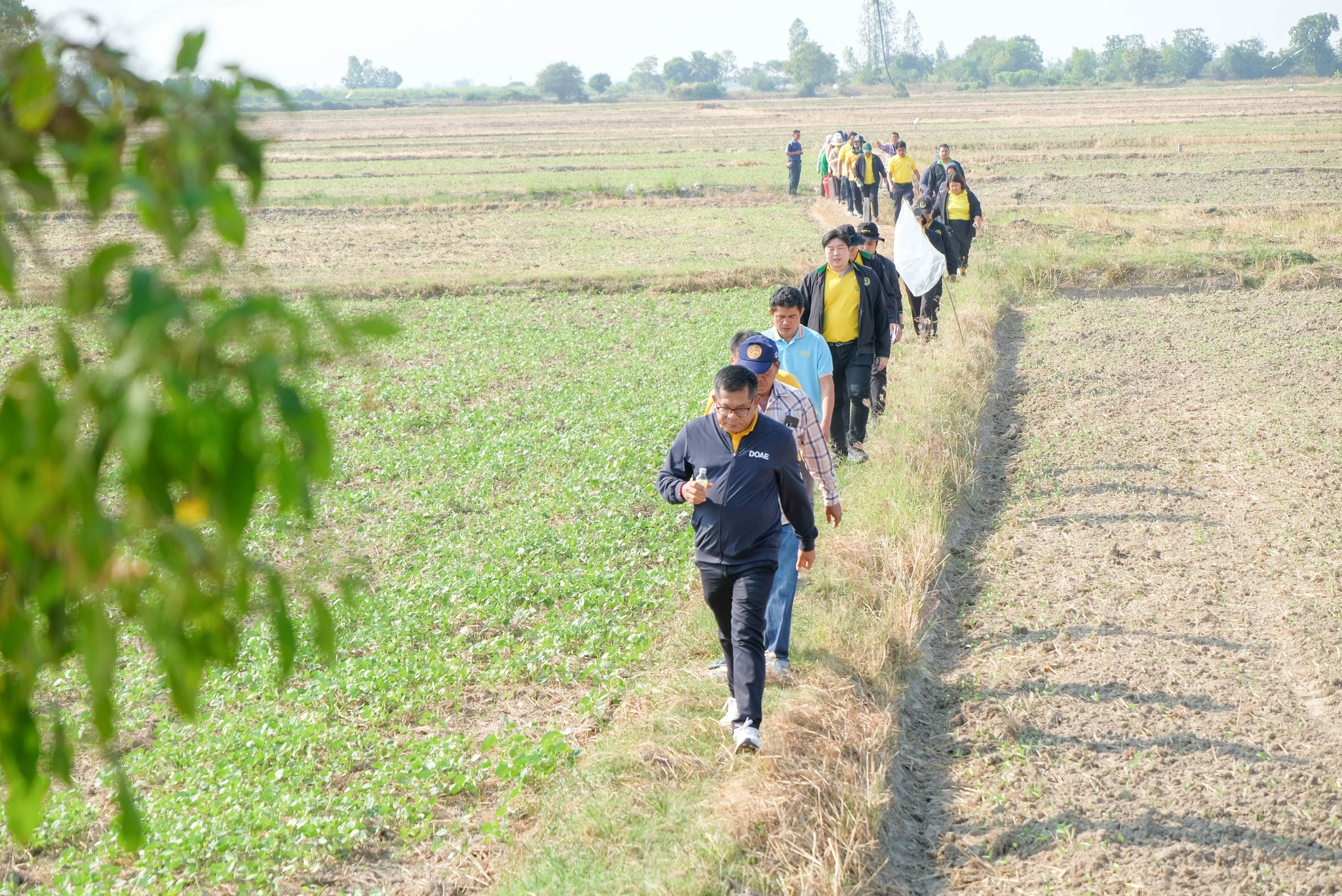 เกษตรฯ ชวน “เลิกเผา” ชี้เป้าไถกลบทำปุ๋ย หนุนปลูกถั่วหลังนาเตรียมจับมือภาคีนำร่องโรงงานพัฒนาเมล็ดพันธุ์ถั่วเขียวคุณภาพที่สุพรรณบุรี 8 486395112 1025087363060562 1136985983713573548 n