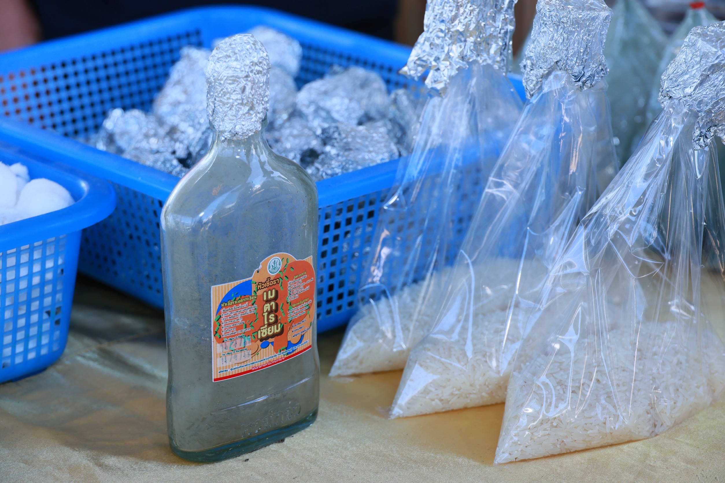 กรมส่งเสริมการเกษตร หนุนปลูกมะพร้าวสุขภาพดี ด้วยการจัดการศัตรูพืชแบบผสมผสาน (IPM) 6 488A1363 0