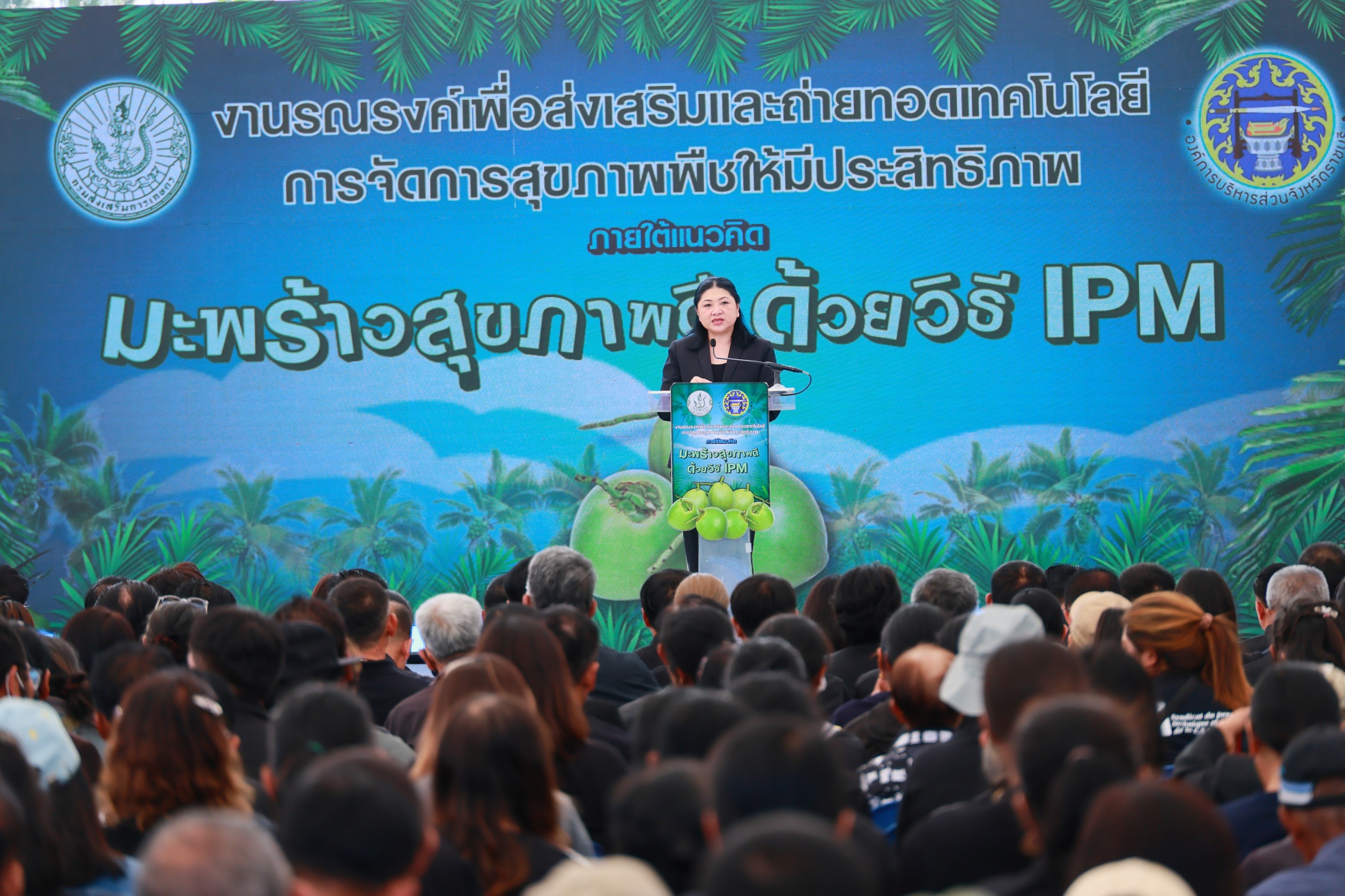 กรมส่งเสริมการเกษตร หนุนปลูกมะพร้าวสุขภาพดี ด้วยการจัดการศัตรูพืชแบบผสมผสาน (IPM) 4 488A1737