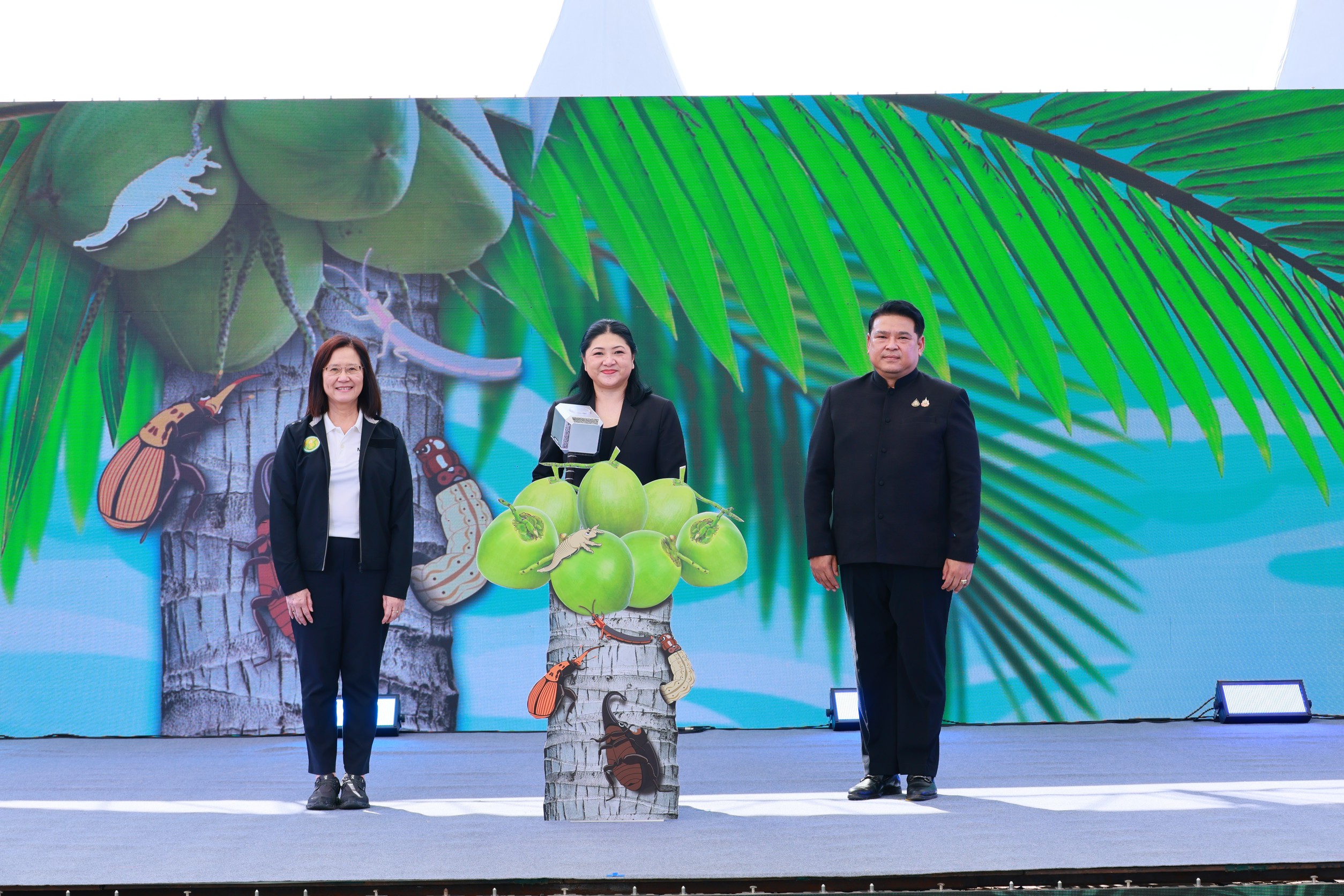 กรมส่งเสริมการเกษตร หนุนปลูกมะพร้าวสุขภาพดี ด้วยการจัดการศัตรูพืชแบบผสมผสาน (IPM) 2 488A1807