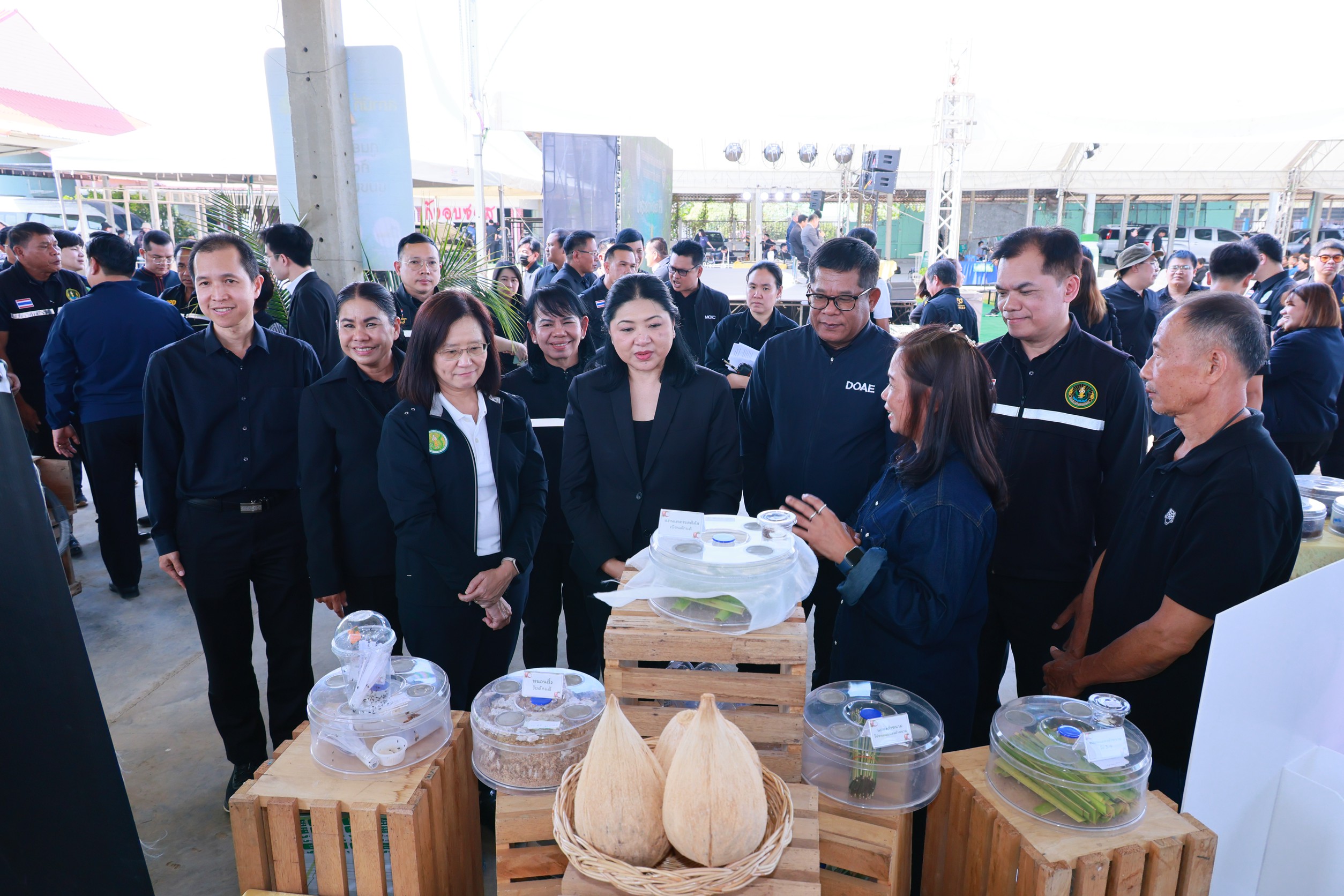 กรมส่งเสริมการเกษตร หนุนปลูกมะพร้าวสุขภาพดี ด้วยการจัดการศัตรูพืชแบบผสมผสาน (IPM) 9 488A2106