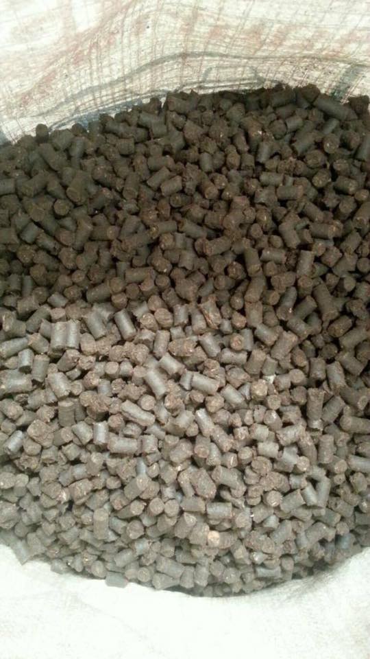 เรื่องของปุ๋ย ก่อนปลูกพืชต้องรู้ ตอน 3 ปุ๋ยชีวภาพ 4 51090908 1120273274820244 6200324267221975040 n