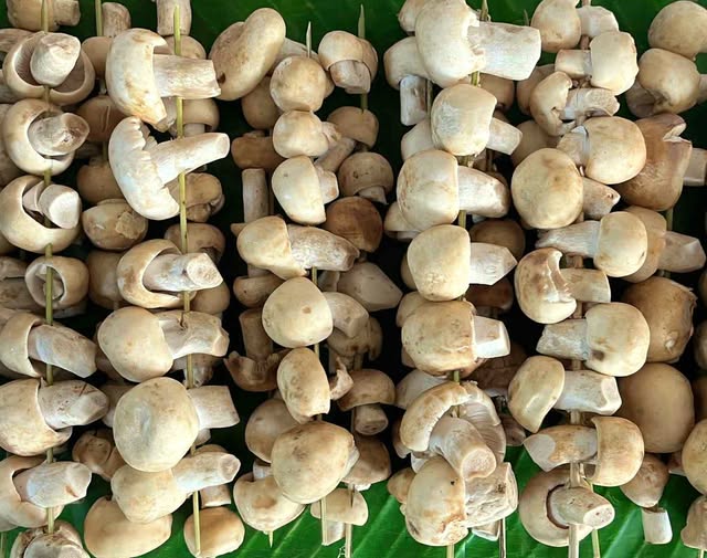 527799799 788785030485311 7898457074656398716 n