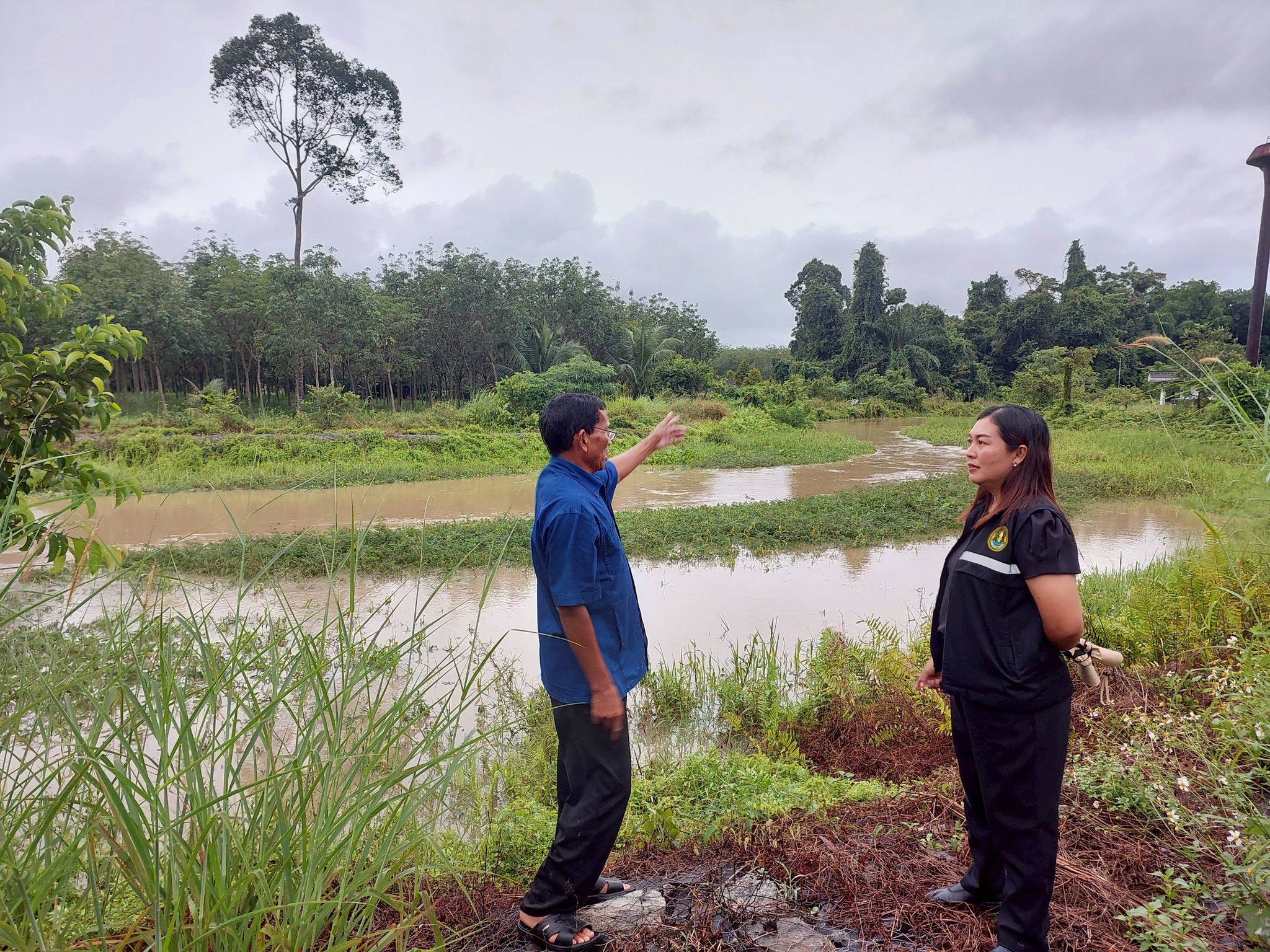 เกษตรฯ เผยแผนฟื้นฟูน้ำท่วมภาคใต้ ด้านพืชเน้นฟื้นดิน–ฟื้นต้น–ป้องกันโรค หลังน้ำลด 6 585549631 2293923201115138 1011342818320672924 n