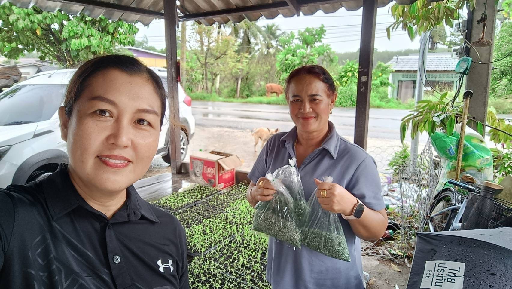 เกษตรฯ เผยแผนฟื้นฟูน้ำท่วมภาคใต้ ด้านพืชเน้นฟื้นดิน–ฟื้นต้น–ป้องกันโรค หลังน้ำลด 5 586852272 2294655611041897 2703005767704103897 n