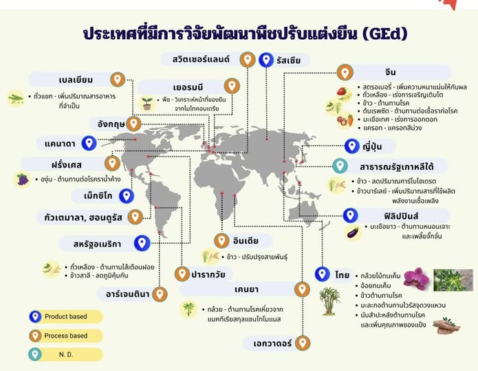 พืชปรับแต่งจีโนมและการอนุมัติใช้ประโยชน์ทั่วโลก 12 59376