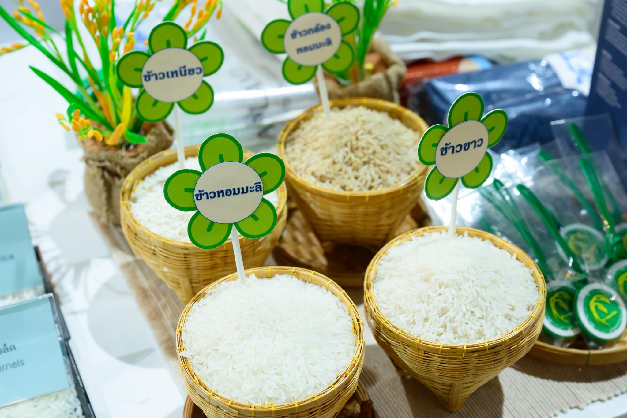 “พาณิชย์”ยกระดับ “ข้าวประณีต”ในงาน Thailand Rice Fest 2025 โชว์พลัง ภูมิใจข้าวไทย เสริมแกร่งสินค้า GI ปิดดีลแรก Business Matching ข้าว 450 ตัน เดินหน้าดันข้าว–กาแฟไทย สู่ตลาดพรีเมียมในและต่างประเทศ 13 595601659 1444843913874811 5097095049897784500 n