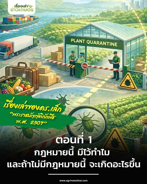 เรื่องเล่าของ ดร. เล็ก 597625380 1670580084262367 5692769491335039221 n
