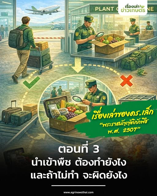 เรื่องเล่าของ ดร.เล็ก พระราชบัญญัติกักพืช พ.ศ. 2507 ตอนที่ 3 : นำเข้าพืช ต้องทำยังไง (และถ้าไม่ทำ จะผิดยังไง) 10 600228611 1671629604157415 8950196129512671092 n