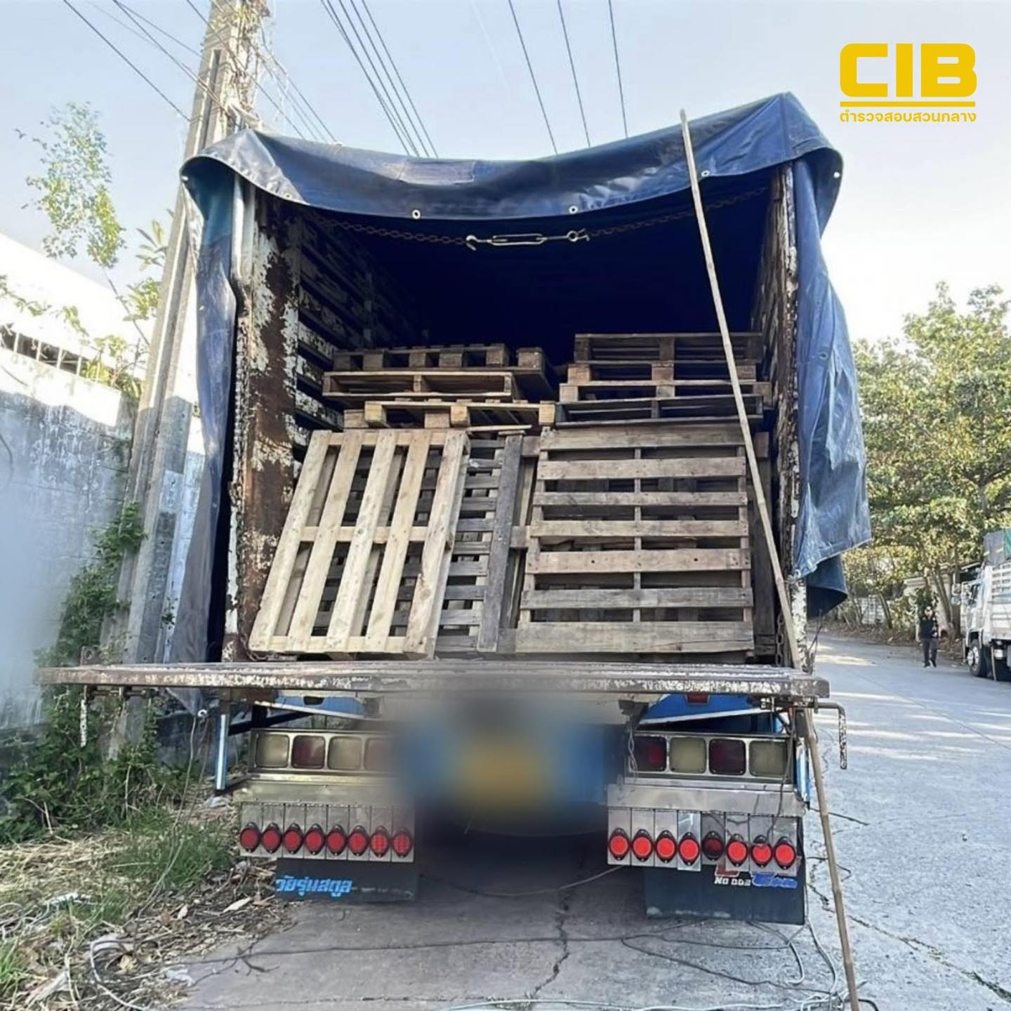 605293150 911828874683984 359691826636502413 n