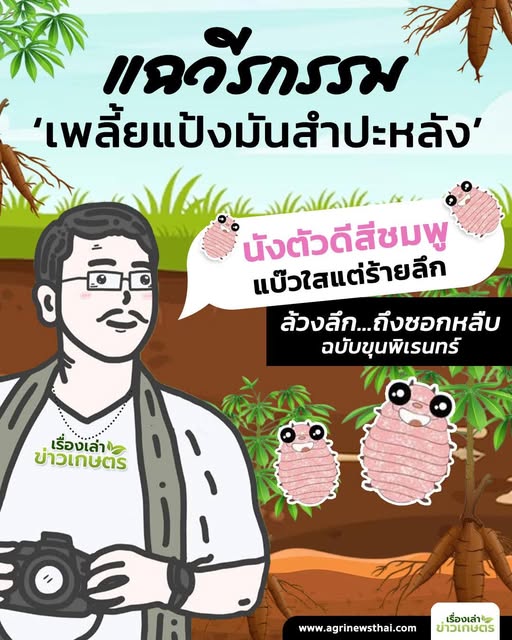 607126510 1679812593339116 1293067591705434204 n