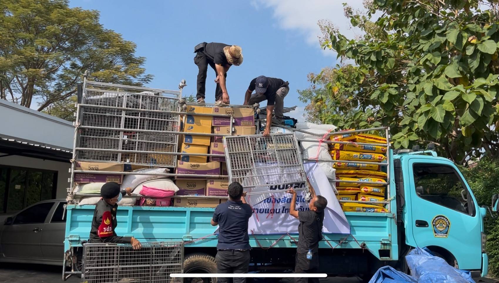 กรมปศุสัตว์ สนับสนุนช่วยเหลือผู้ประสบภัยด้านปศุสัตว์ จากผลกระทบการสู้รบชายแดนไทย–กัมพูชา 7 669676