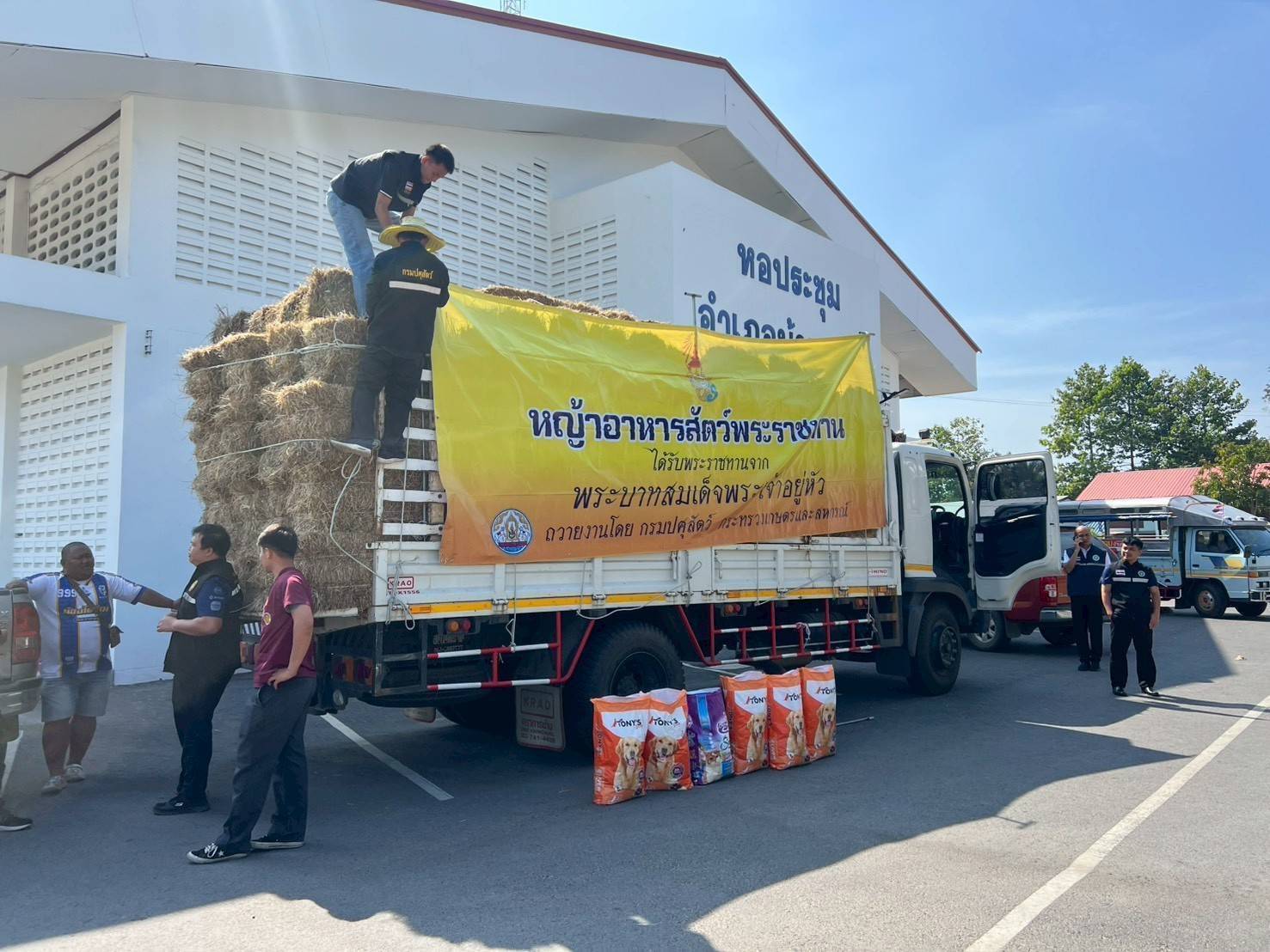 กรมปศุสัตว์ เร่งส่งหญ้าแห้ง อาหารสัตว์ เวชภัณฑ์และทีมสัตวแพทย์ช่วยเกษตรกรชายแดนไทย–กัมพูชา ต่อเนื่อง 4 672644