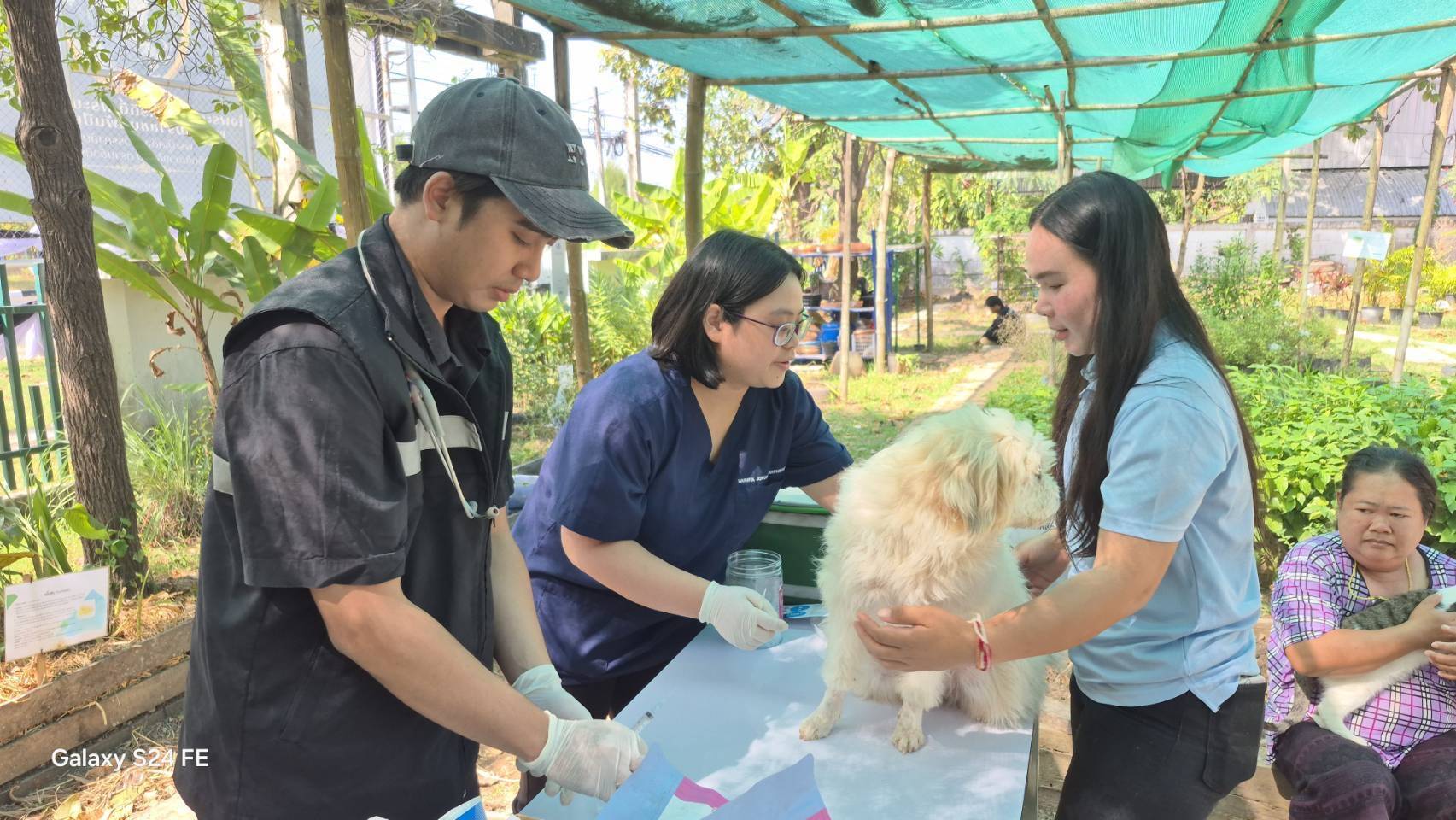 กรมปศุสัตว์ เร่งส่งหญ้าแห้ง อาหารสัตว์ เวชภัณฑ์และทีมสัตวแพทย์ช่วยเกษตรกรชายแดนไทย–กัมพูชา ต่อเนื่อง 7 672648