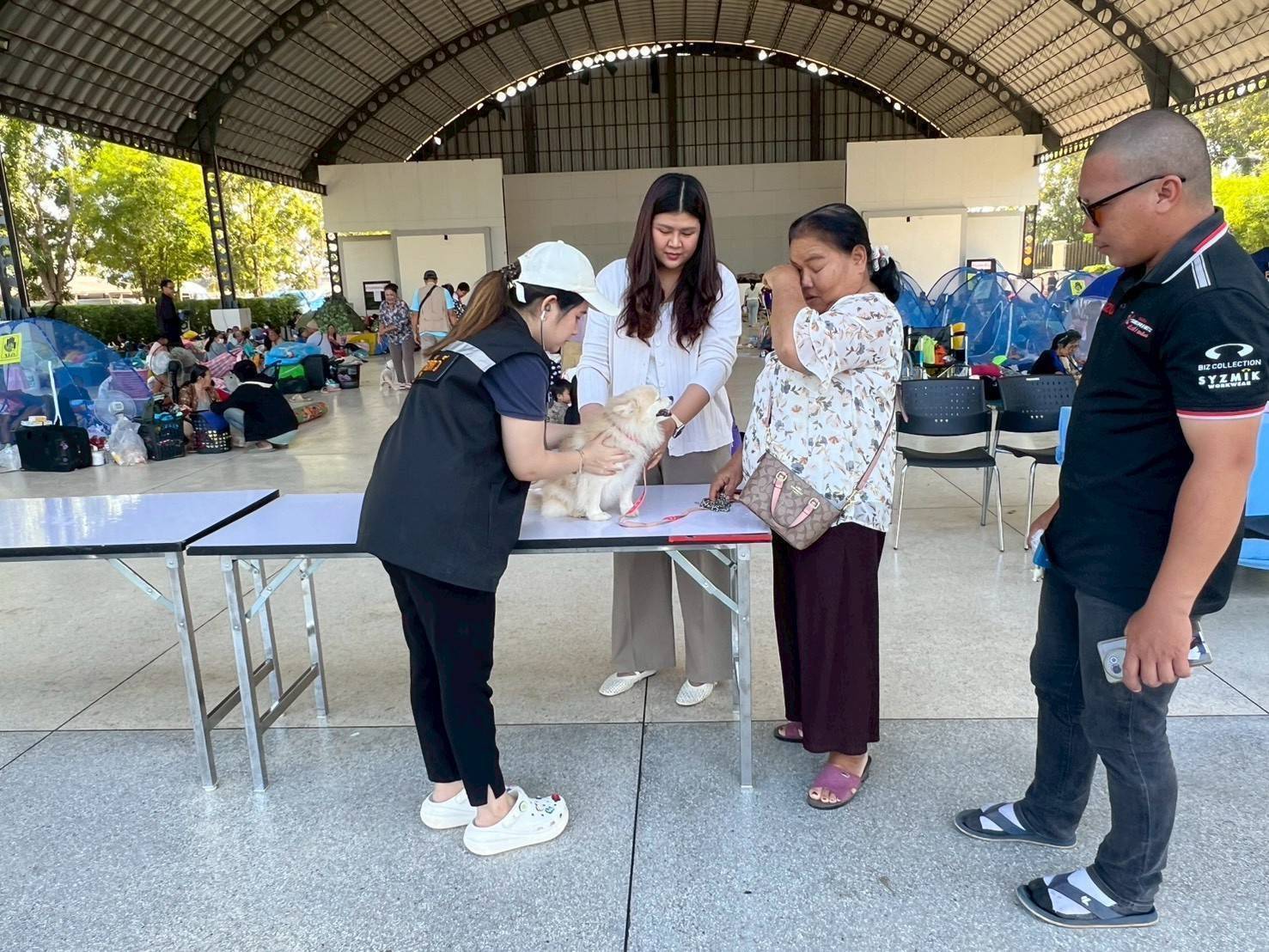 กรมปศุสัตว์ เร่งส่งหญ้าแห้ง อาหารสัตว์ เวชภัณฑ์และทีมสัตวแพทย์ช่วยเกษตรกรชายแดนไทย–กัมพูชา ต่อเนื่อง 9 672650