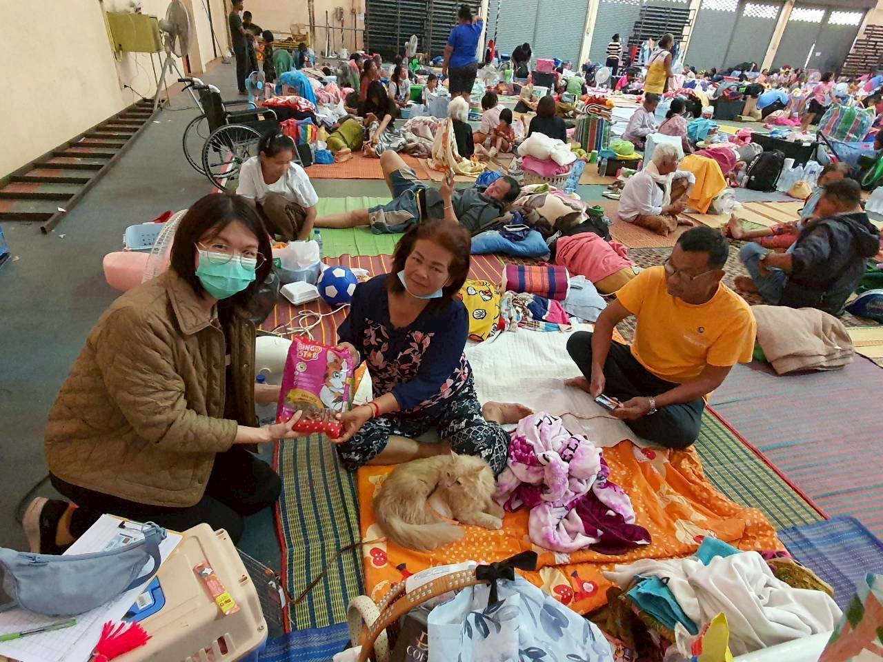 กรมปศุสัตว์ เร่งส่งหญ้าแห้ง อาหารสัตว์ เวชภัณฑ์และทีมสัตวแพทย์ช่วยเกษตรกรชายแดนไทย–กัมพูชา ต่อเนื่อง 13 672654