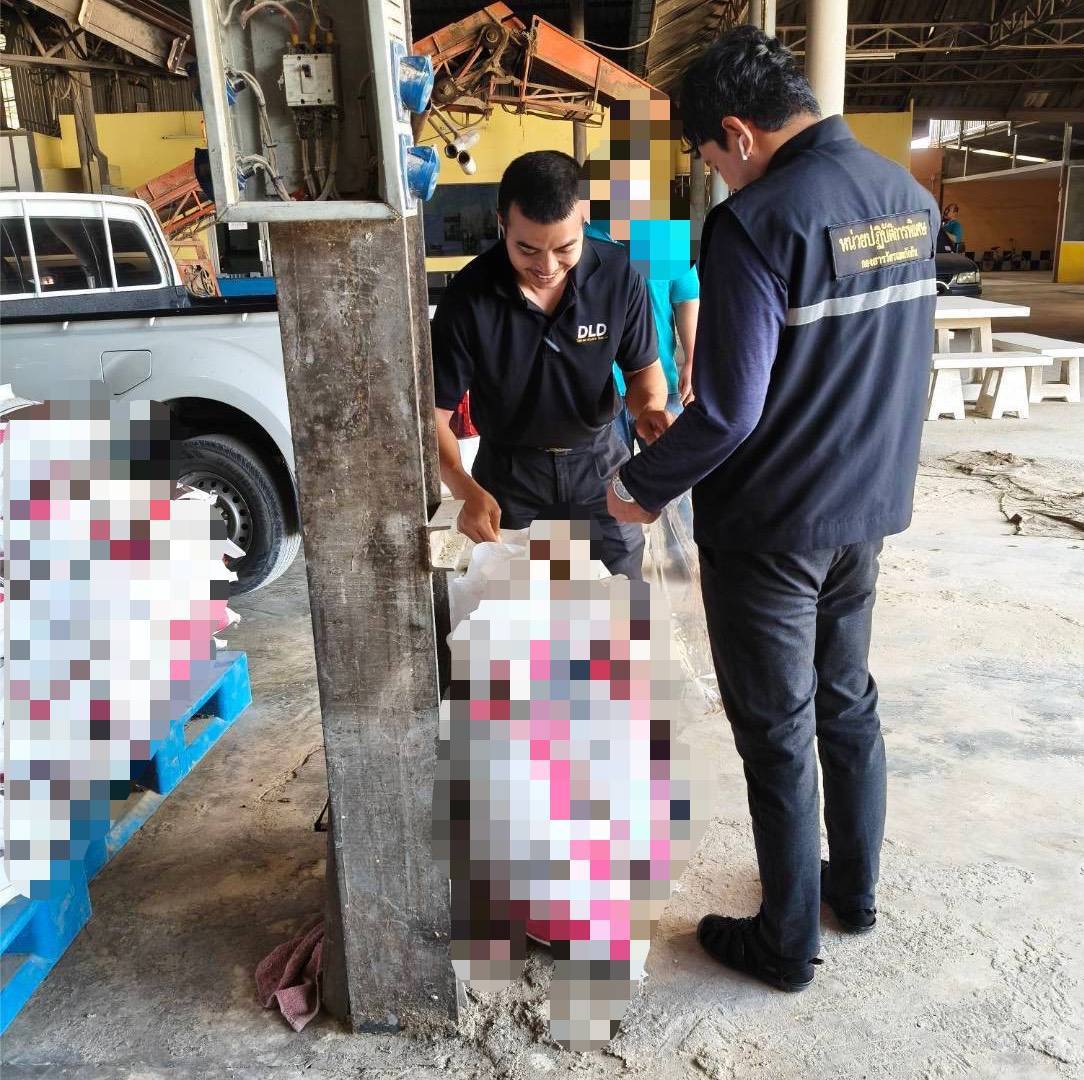 ปศุสัตว์เข้ม ขยายผลจับอาหารสัตว์เถื่อน “ราชบุรี” พบโรงงานผลิตไม่ขึ้นทะเบียน พร้อมดำเนินคดีตามกฎหมาย 5 674199
