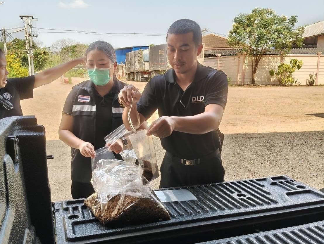 ปศุสัตว์เข้ม ขยายผลจับอาหารสัตว์เถื่อน “ราชบุรี” พบโรงงานผลิตไม่ขึ้นทะเบียน พร้อมดำเนินคดีตามกฎหมาย 8 674202