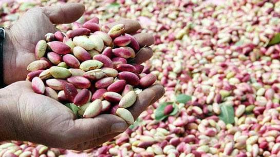 67697824 1399459463537487 2704461436511322112 n