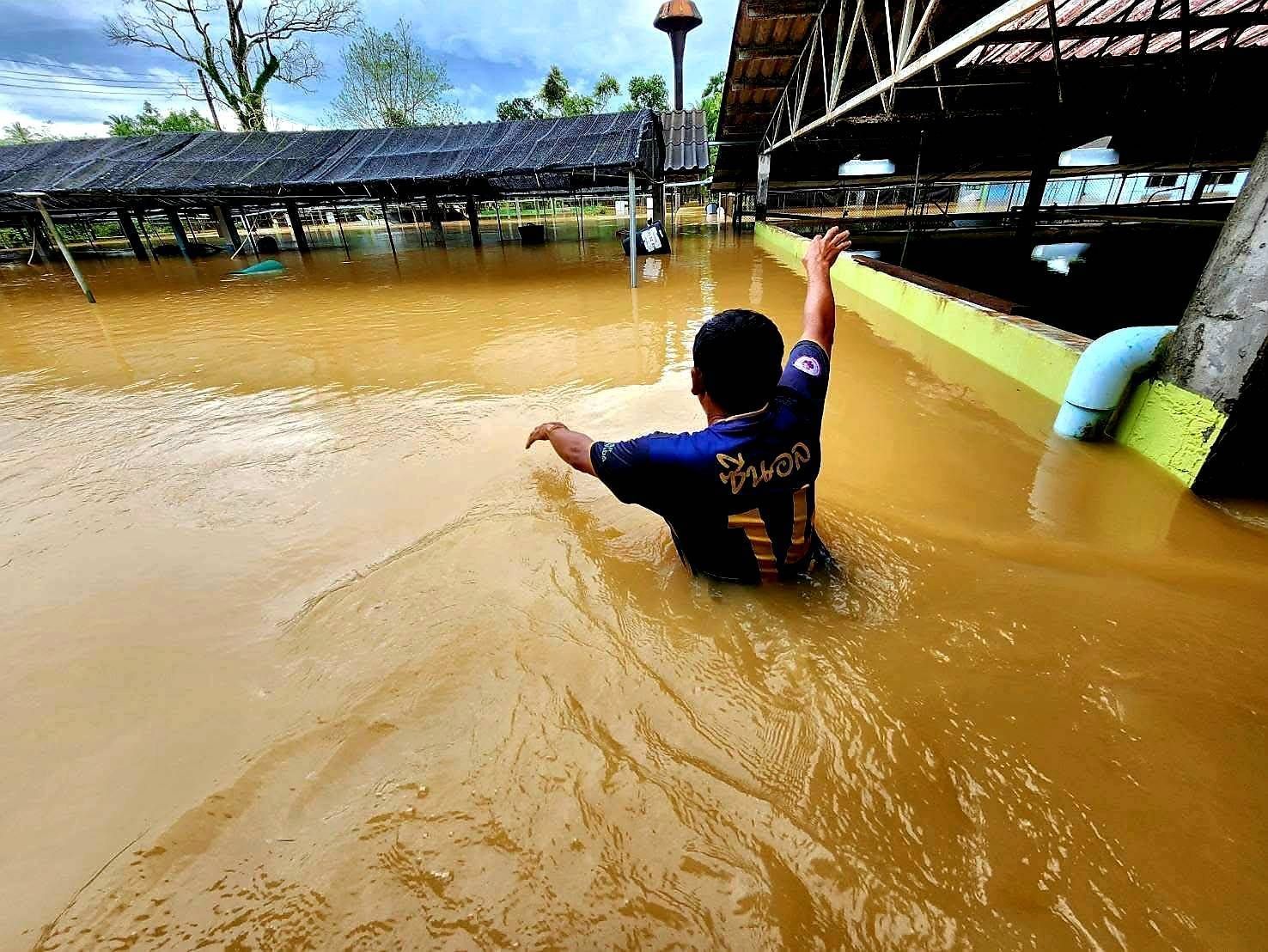 กรมประมงชี้แจงเหตุเต่าในศูนย์ฯ สตูลตายจากอุทกภัยพร้อมเดินหน้ามาตรการฟื้นฟู 3 ระยะขอความร่วมมือประชาชนในพื้นที่แจ้งเหตุพบเต่าคืนศูนย์ฯ 5 685176