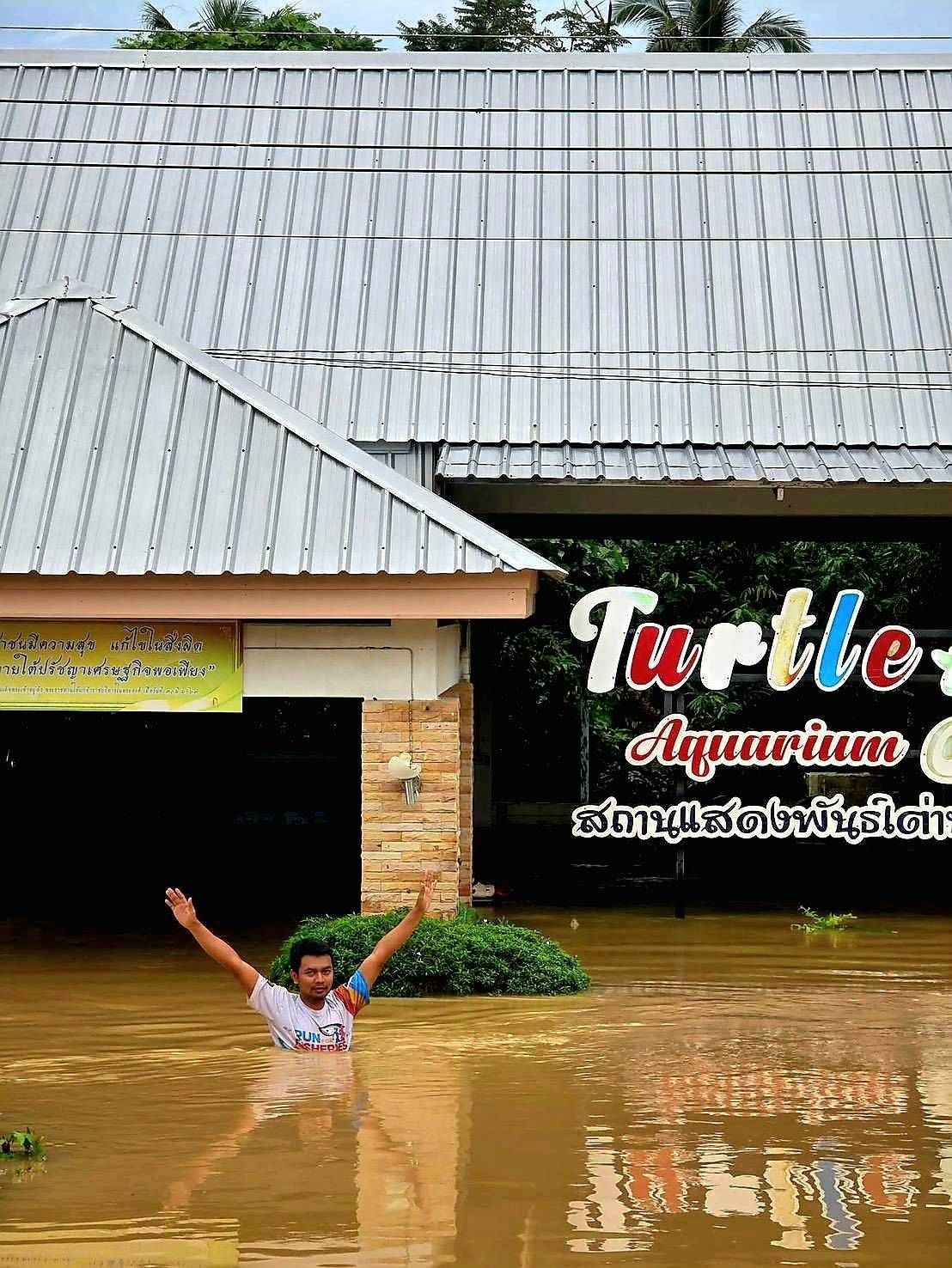 กรมประมงชี้แจงเหตุเต่าในศูนย์ฯ สตูลตายจากอุทกภัยพร้อมเดินหน้ามาตรการฟื้นฟู 3 ระยะขอความร่วมมือประชาชนในพื้นที่แจ้งเหตุพบเต่าคืนศูนย์ฯ 6 685177