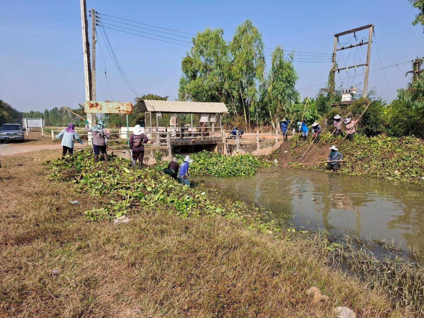 กรมชลฯ เปิดรับจ้างแรงงานทั่วประเทศกว่า 8.4 หมื่นอัตรา เสริมรายได้ต้อนรับปีใหม่ 2569 4 982190